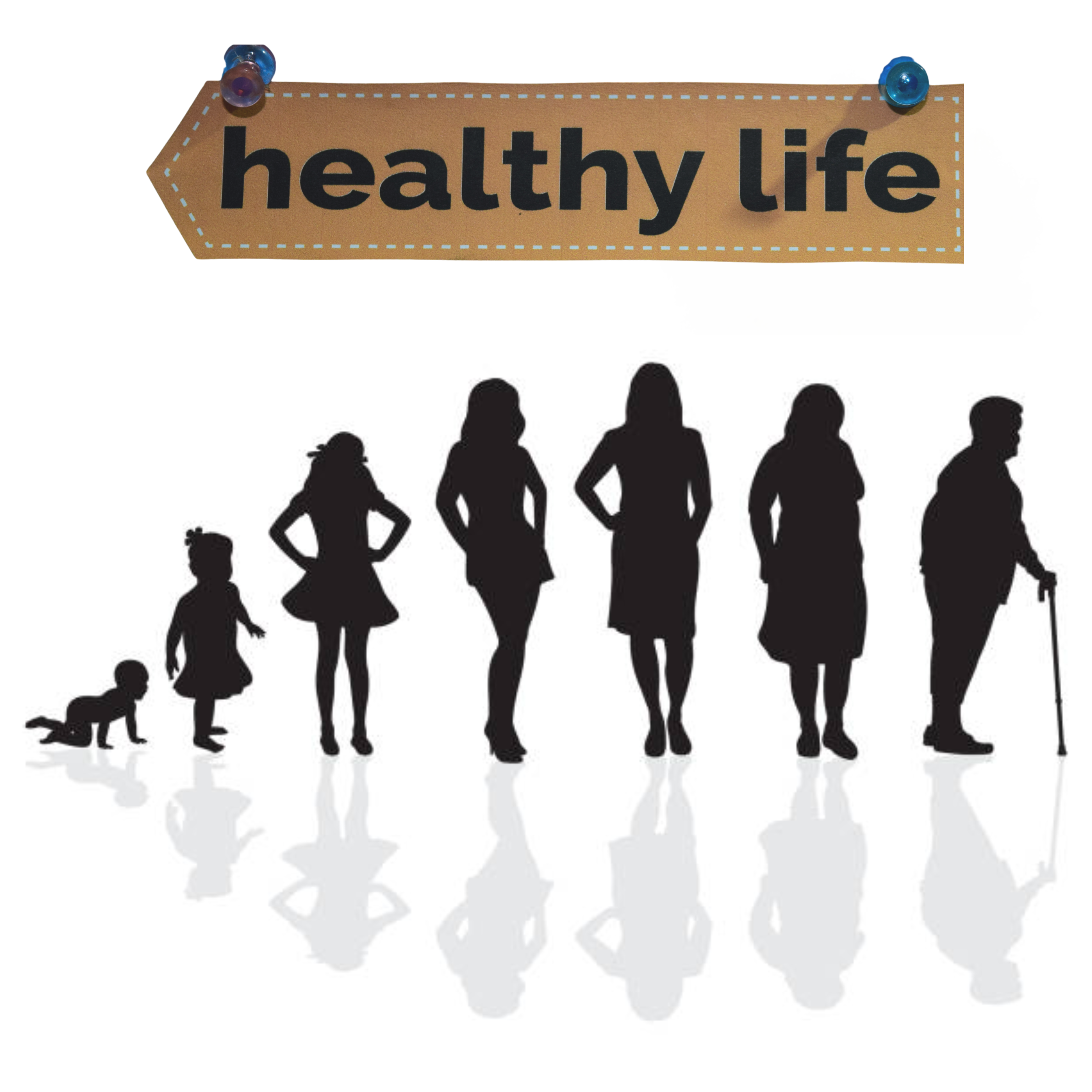 Midlife: a Second Window For Female Longevity