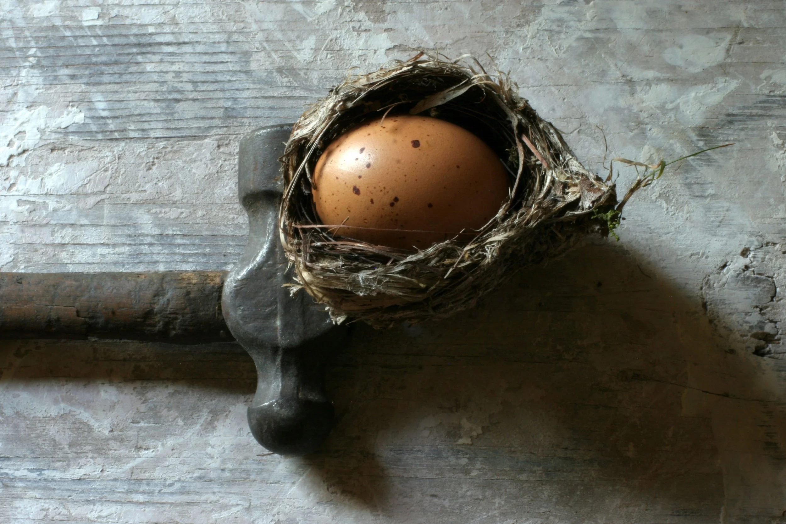 egg  photoshop.jpg