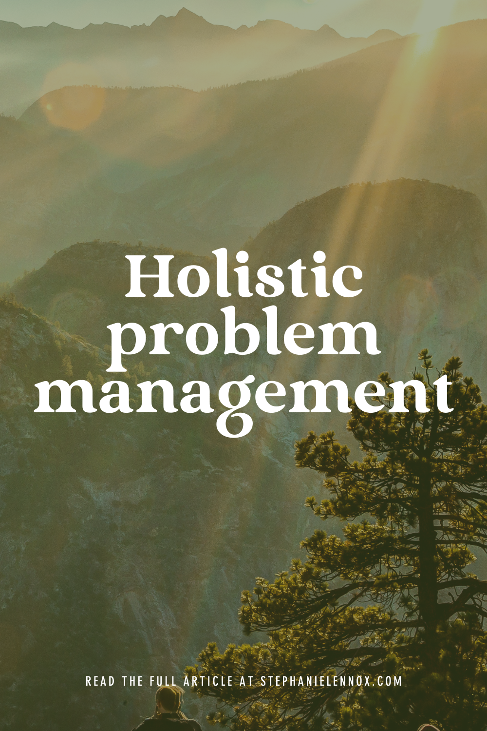 Holistic problem management