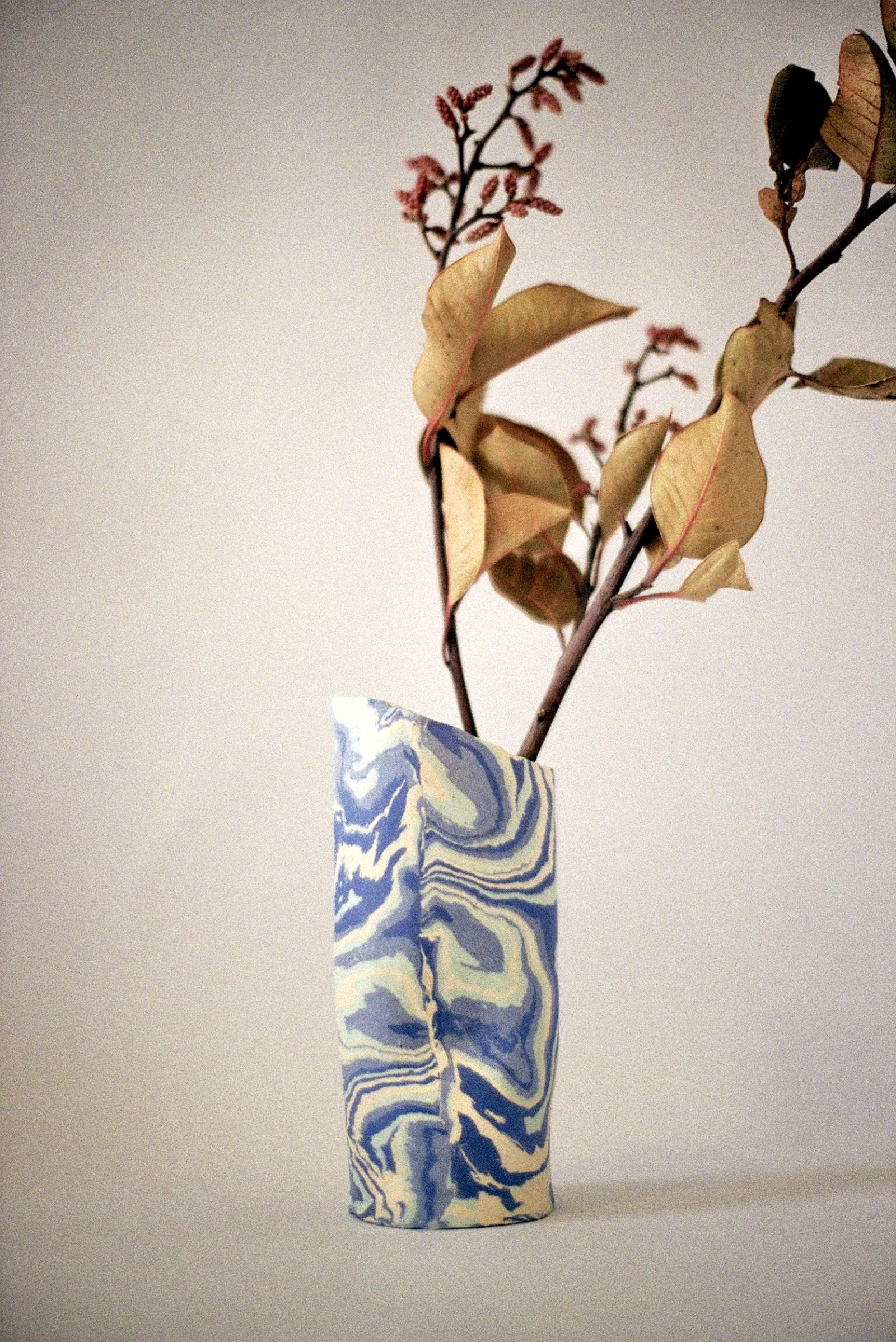 A tall, narrow ceramic vase with a blue and white marbled pattern, holding a dried branch with pale yellow and brown leaves against a plain background.