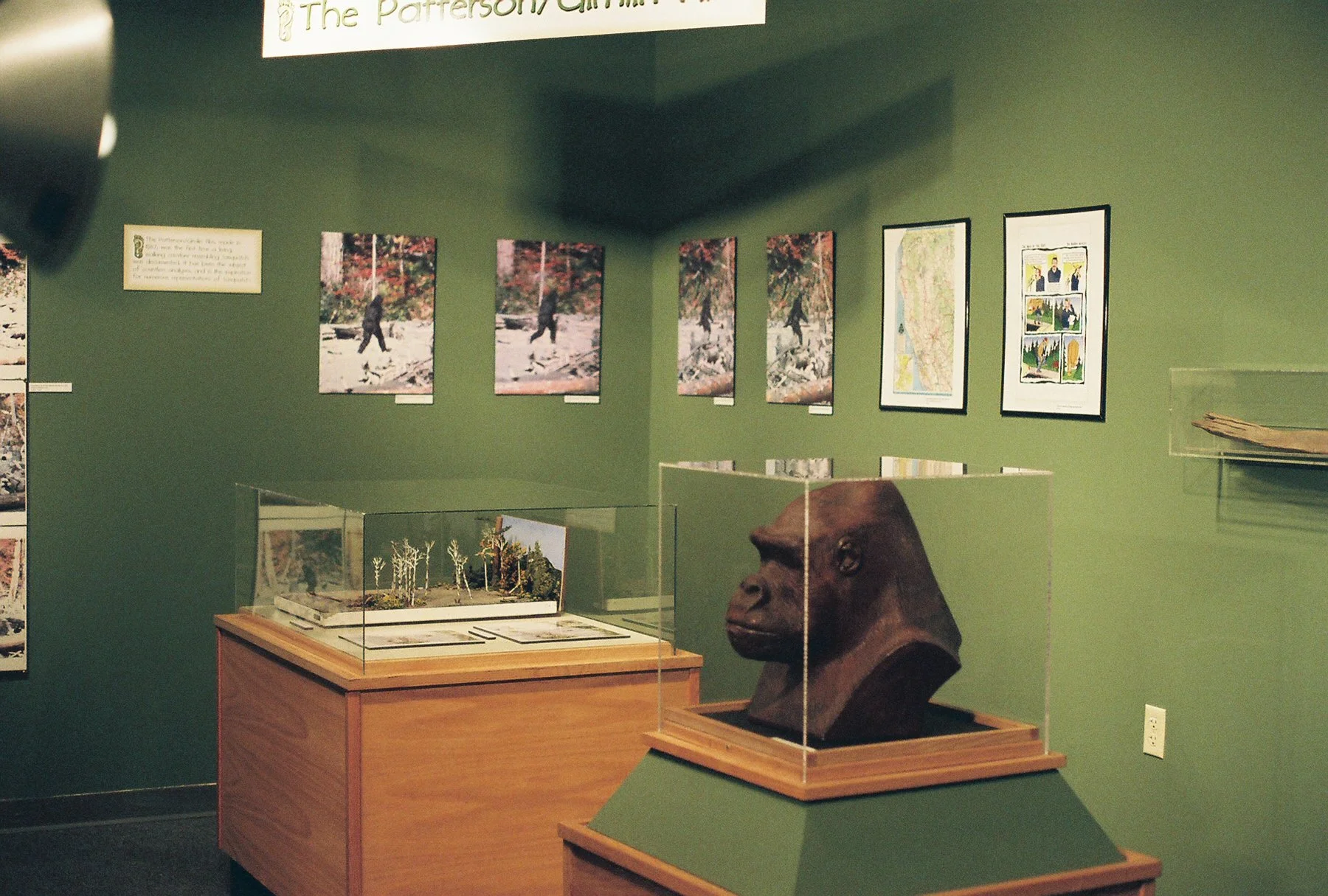 Bigfoot: How  Do We Know? Idaho Museum of Natural History |  Pocatello,  Idaho
