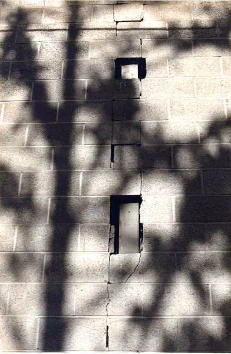 brick branch photo.jpg