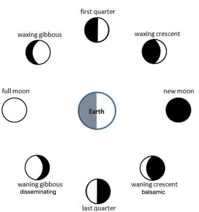 The Great Lights: Cross Quarters - The Astrology of 2026 - Four Sessions