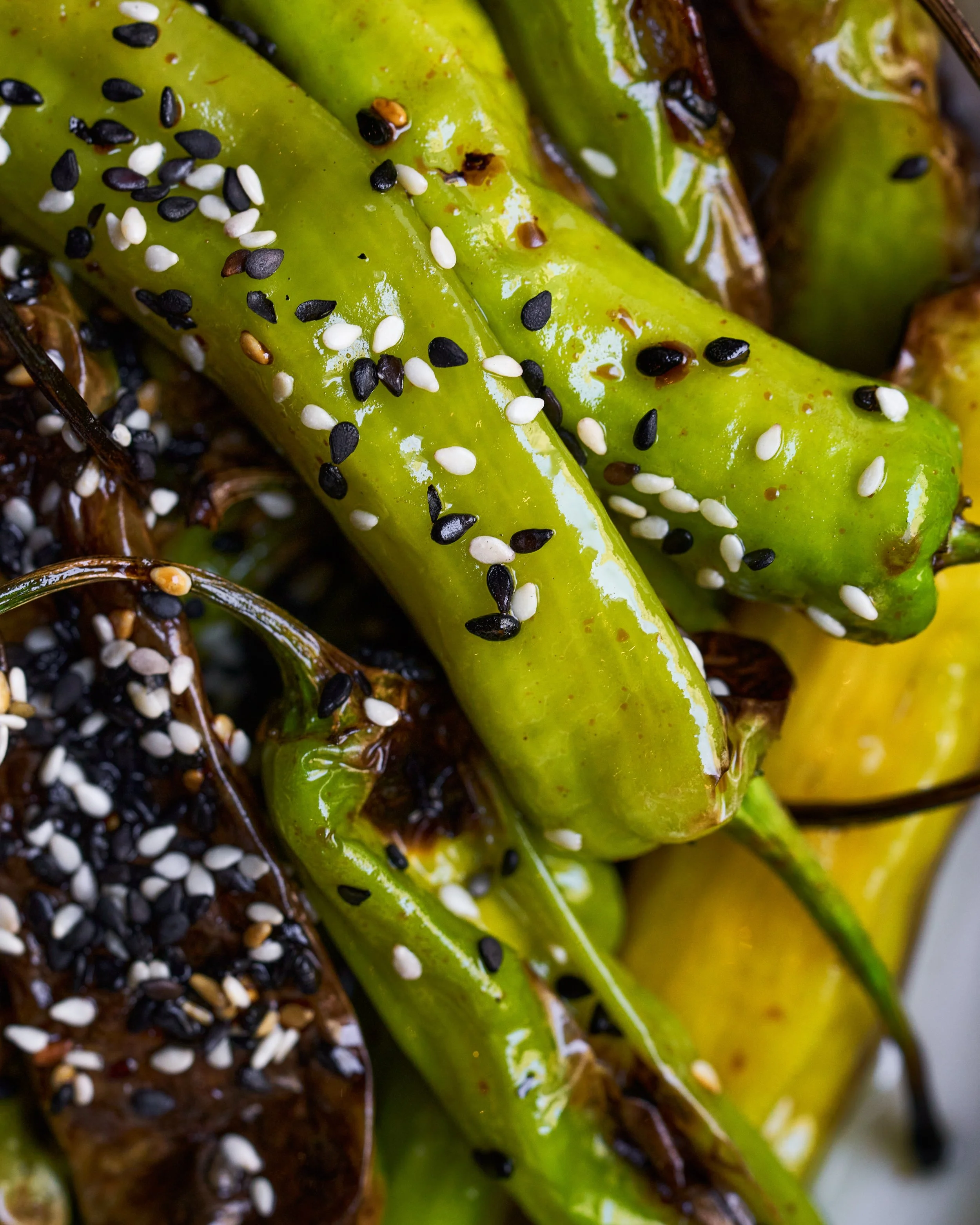  Black Swan - Asbury Park Shot for Start Monday Media Group 