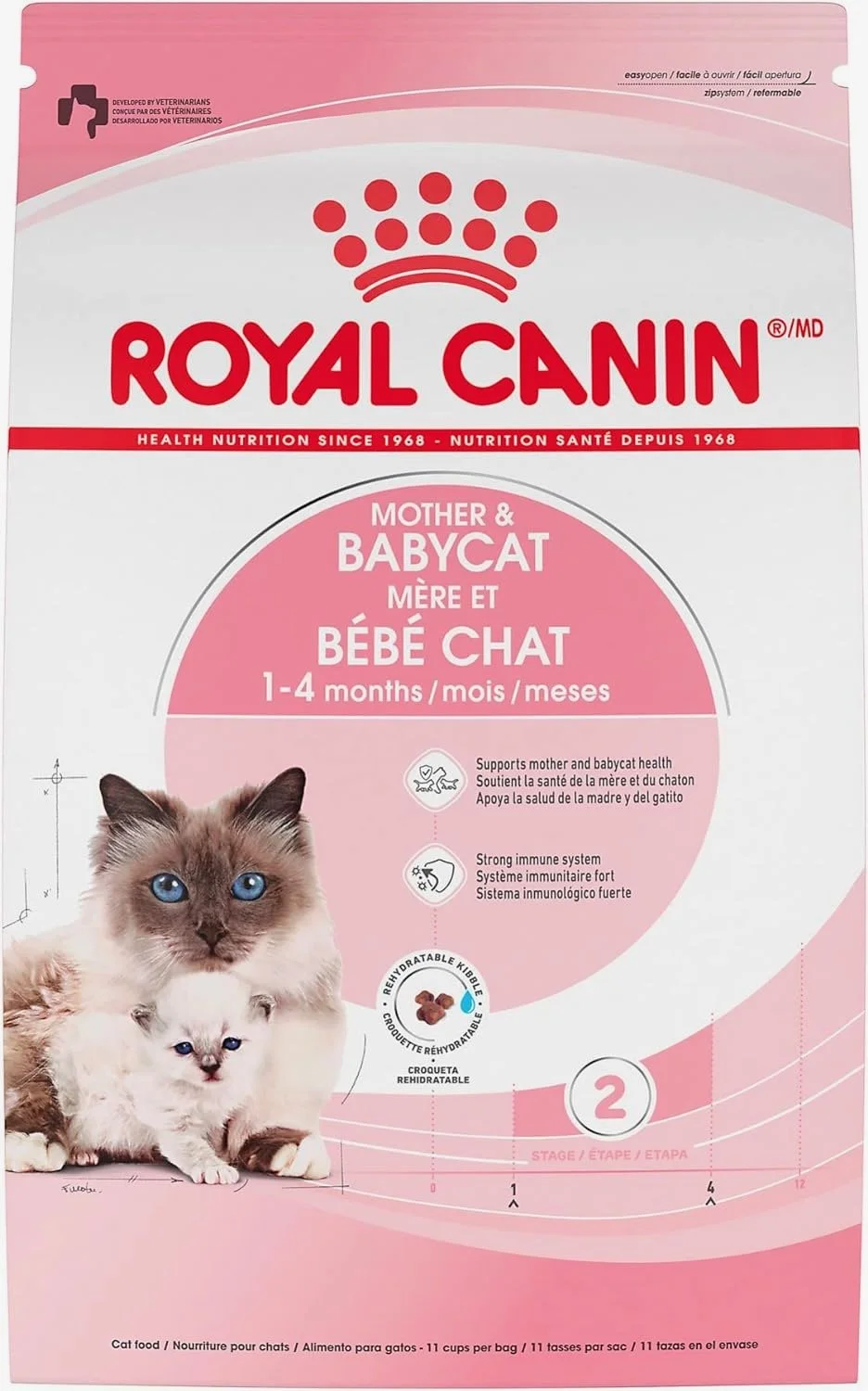Cute Scottish Fold Straight Kitten For Sale In Vancouver Portland Seattle