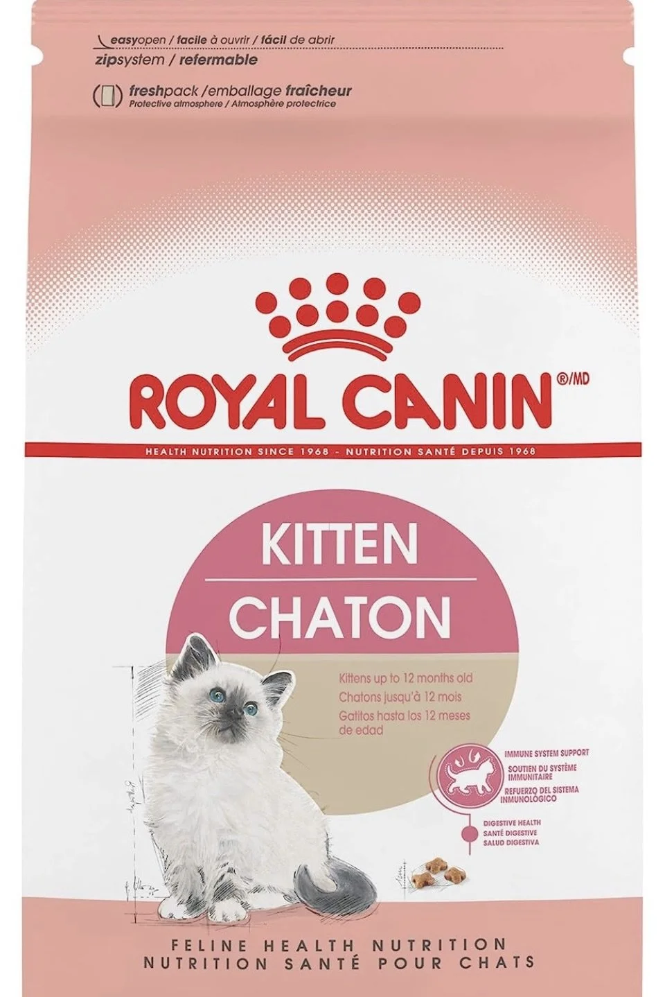 te Scottish Fold Straight Kitten For Sale In Vancouver Portland Seattle
