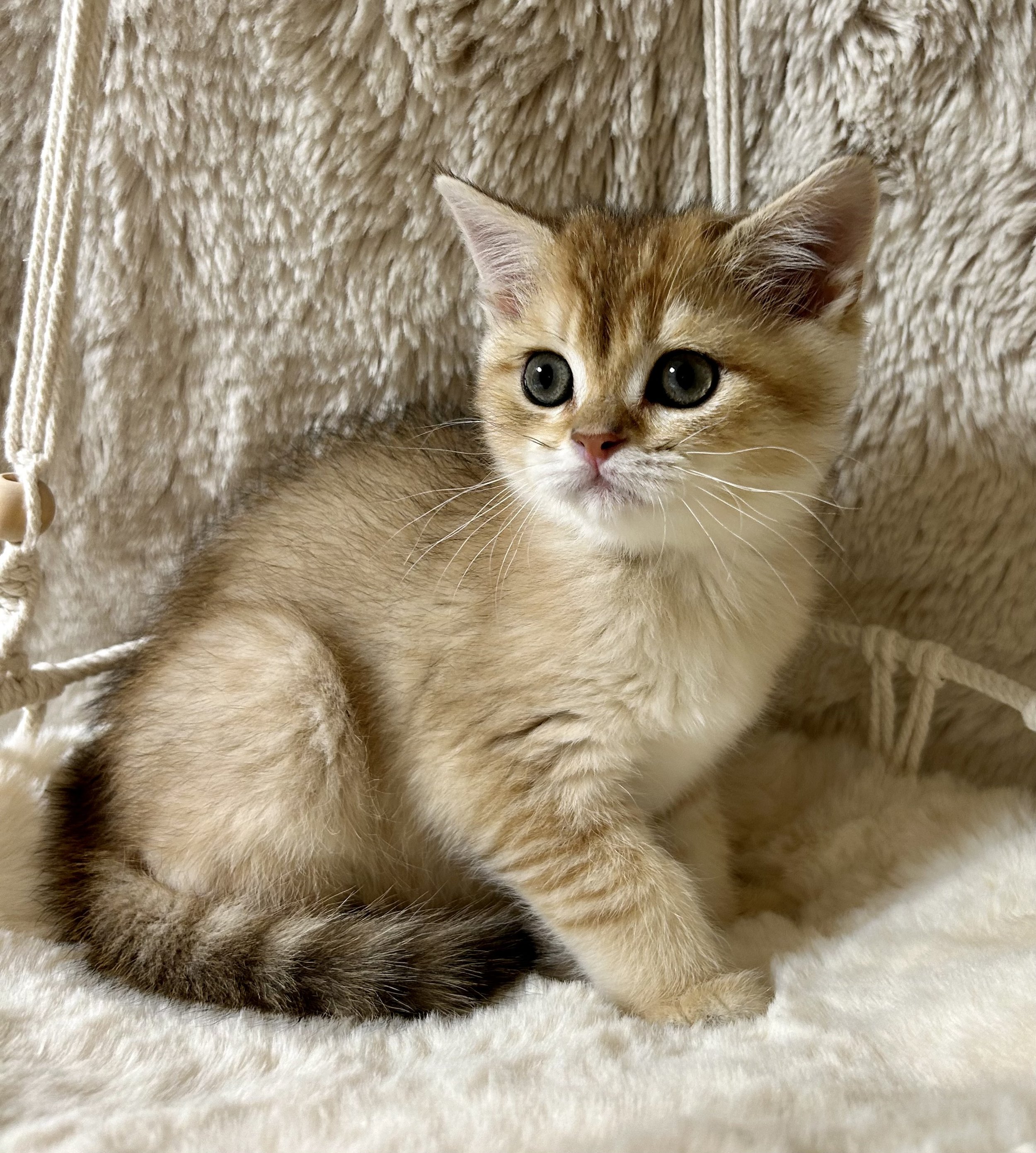 IMG_0996 copy 2.jpeg