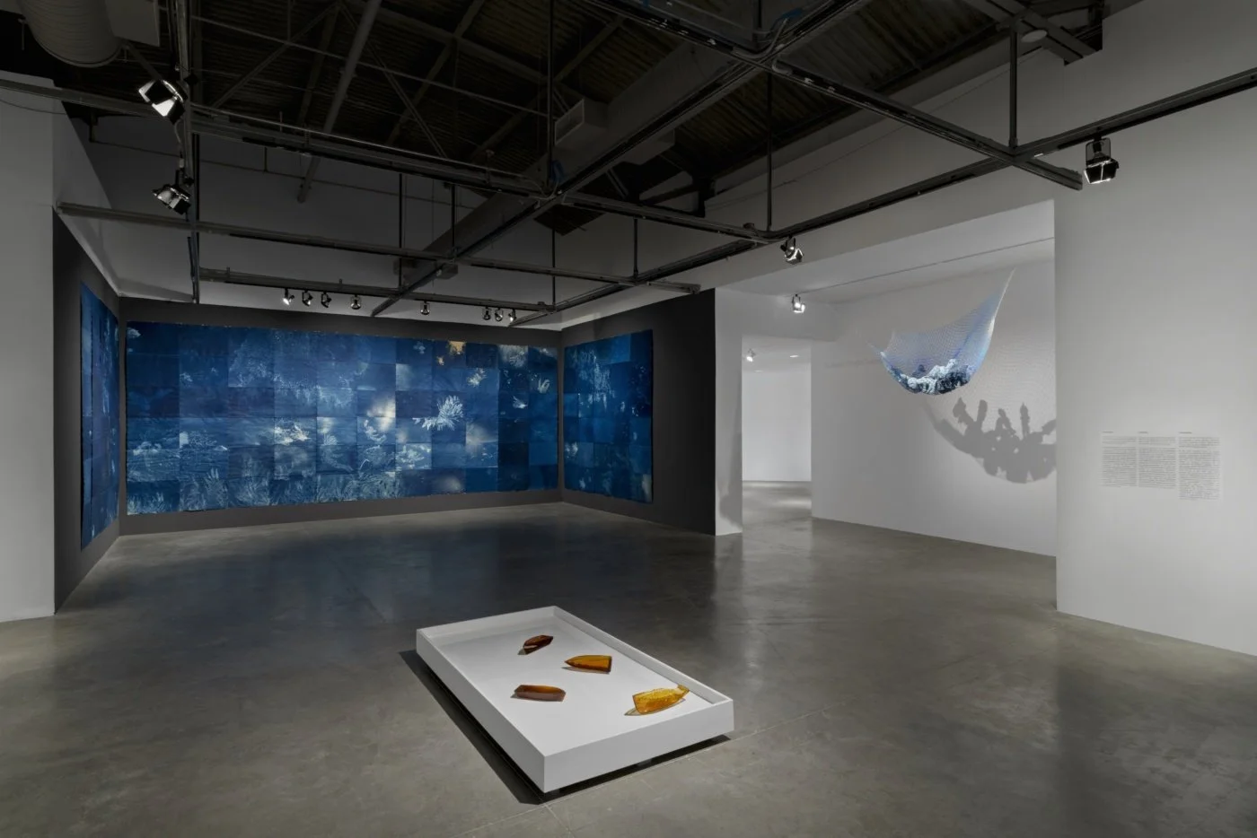 Andrea Chung: Between Too Late and Too Early