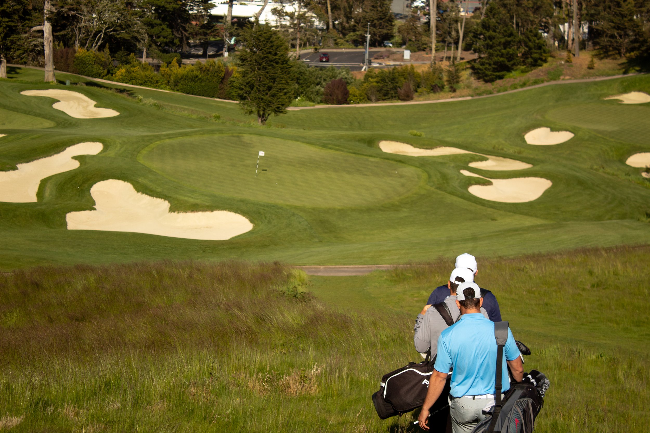 Copy of 19 Ducks in a row.jpg