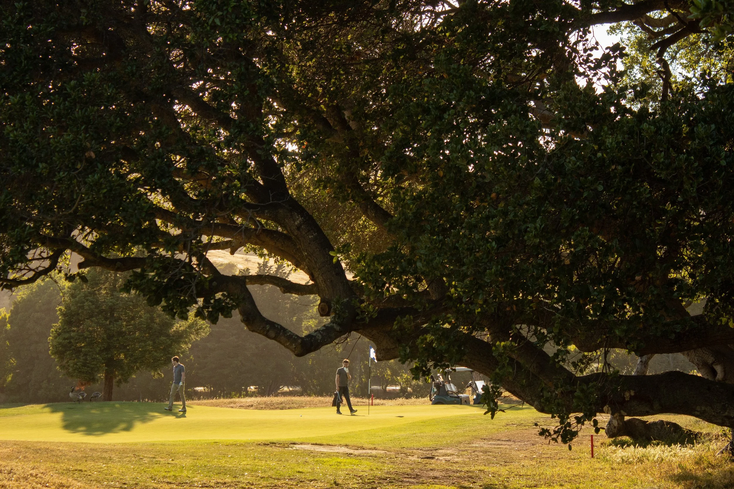 Copy of 30 Branches.jpg