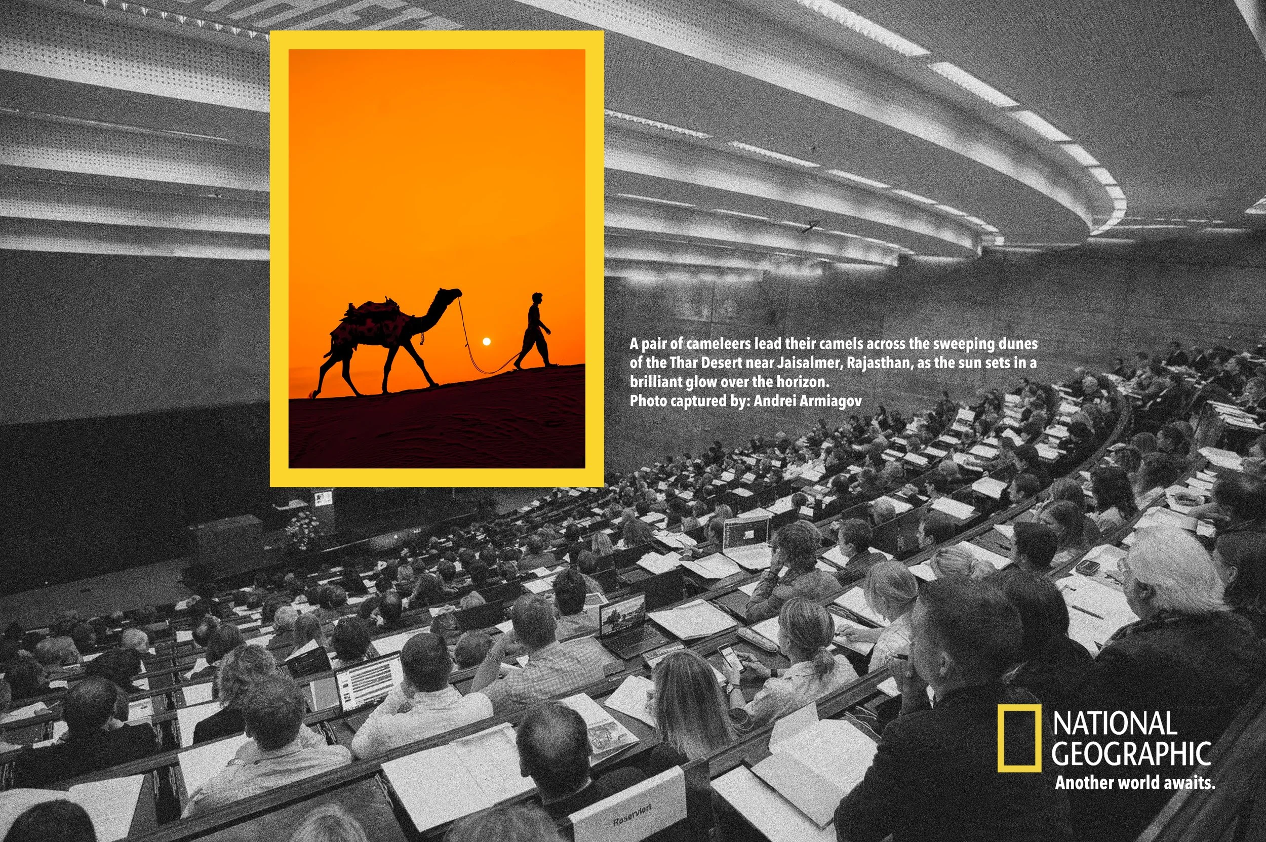 Advertising Creative Portfolio: National Geographic