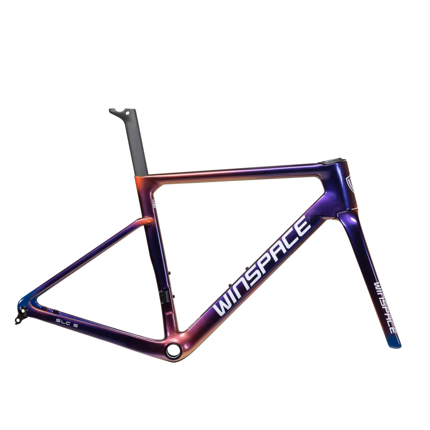 5.jpg.webp