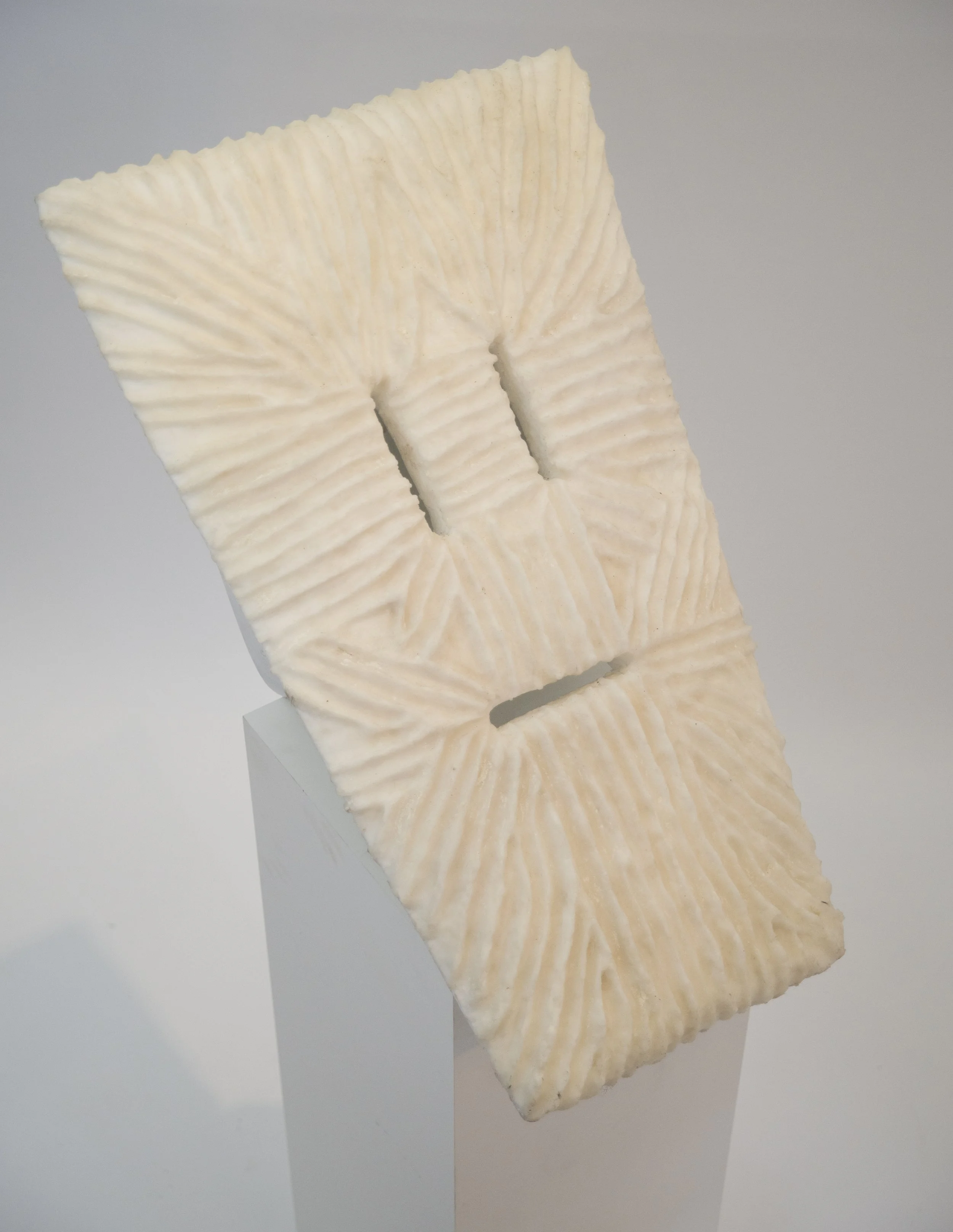 Debut LP
2' x 42" x 14"
Wax, Gesso, Foam
2014