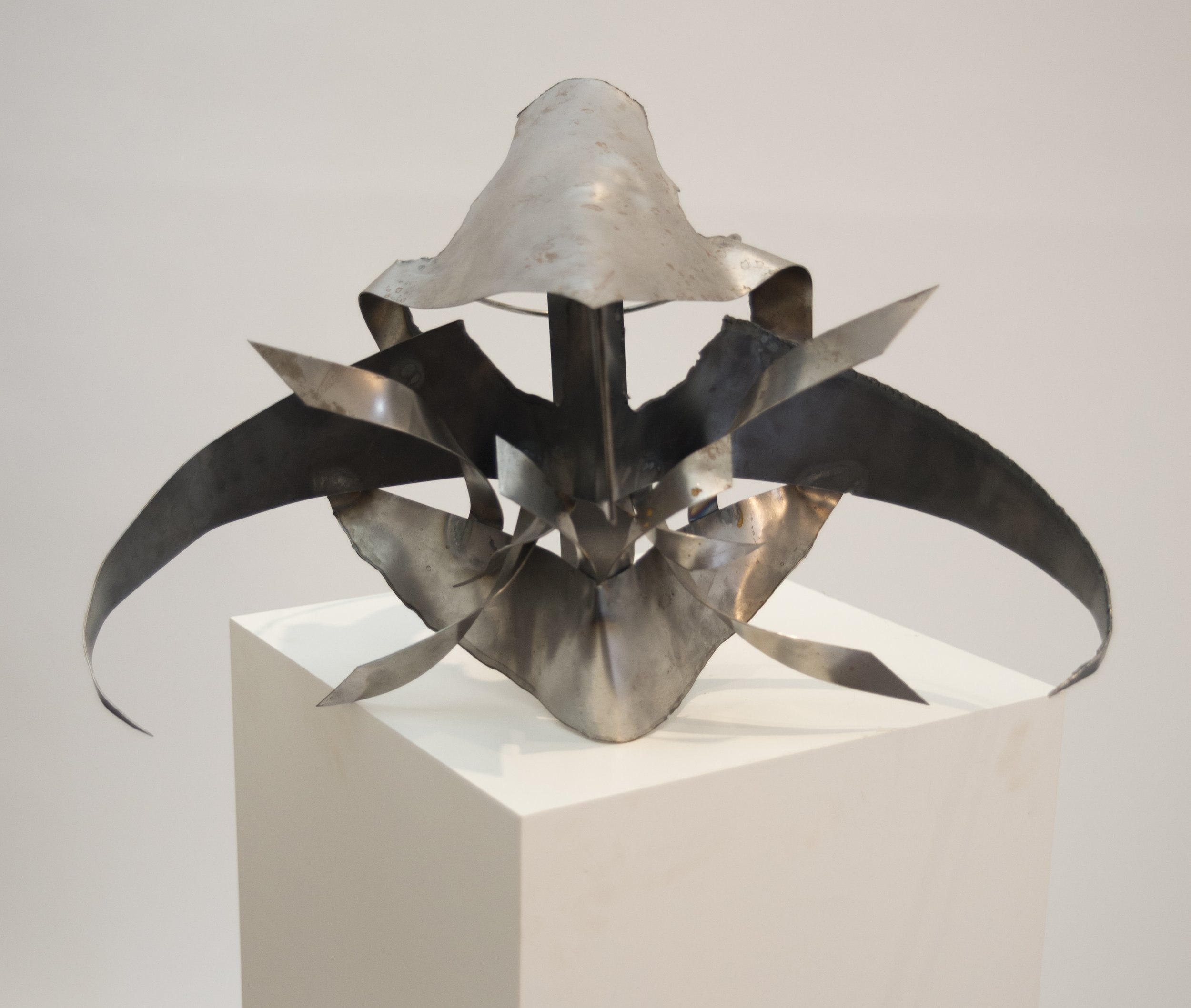 Tusk Fly
2' x 1' x 1'
Steel
2014