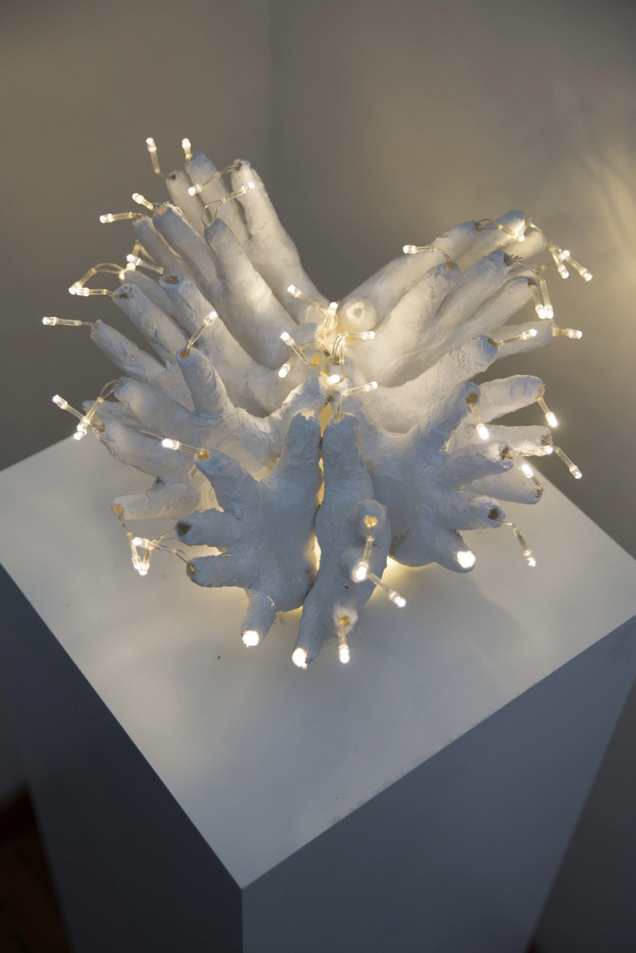 Motion of Flight
Plaster, string lights
7" x 7" x 12"
2013