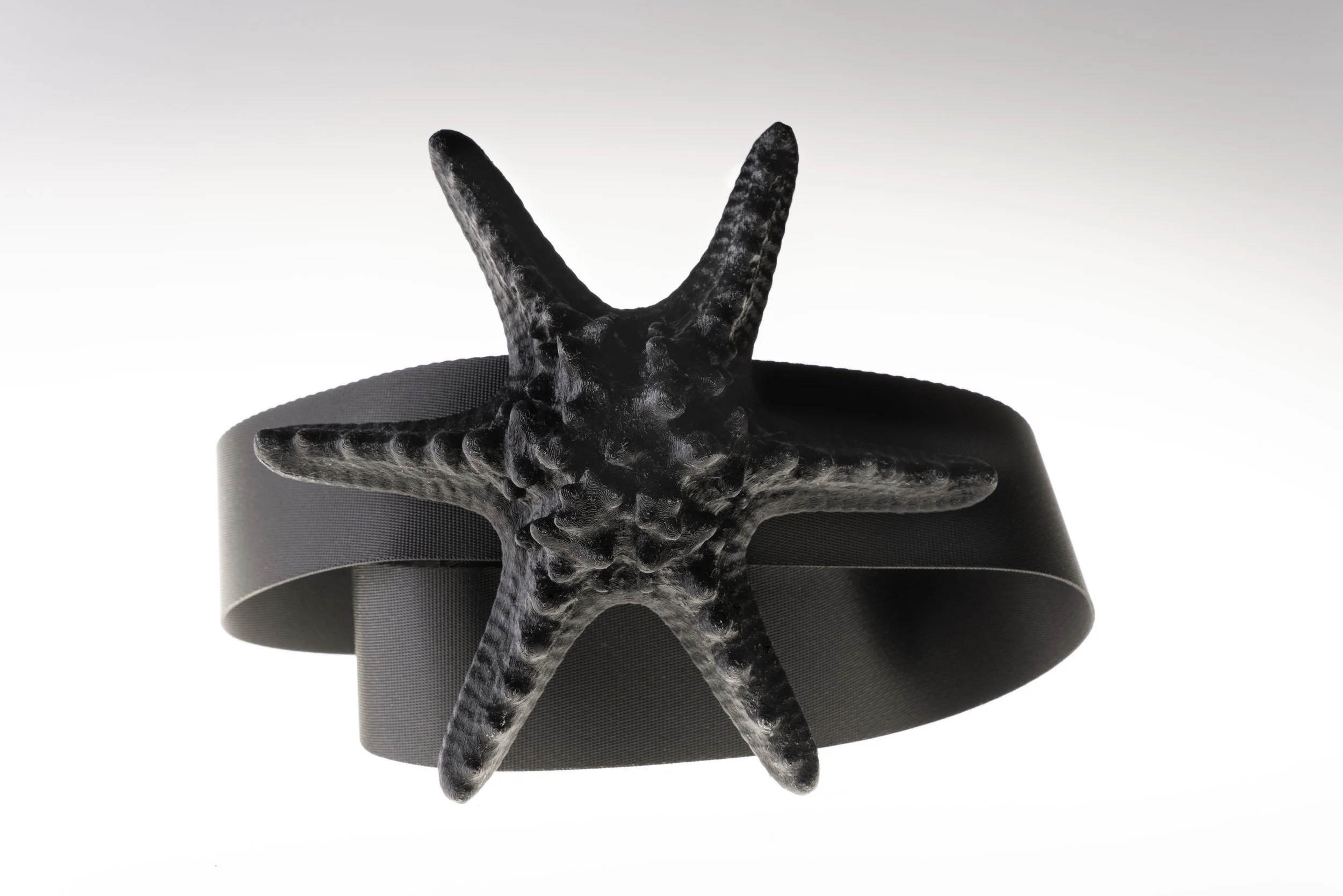 Seawares Belt
7" x 7" x 3" 
3d printed PLA and nylon belt
2022