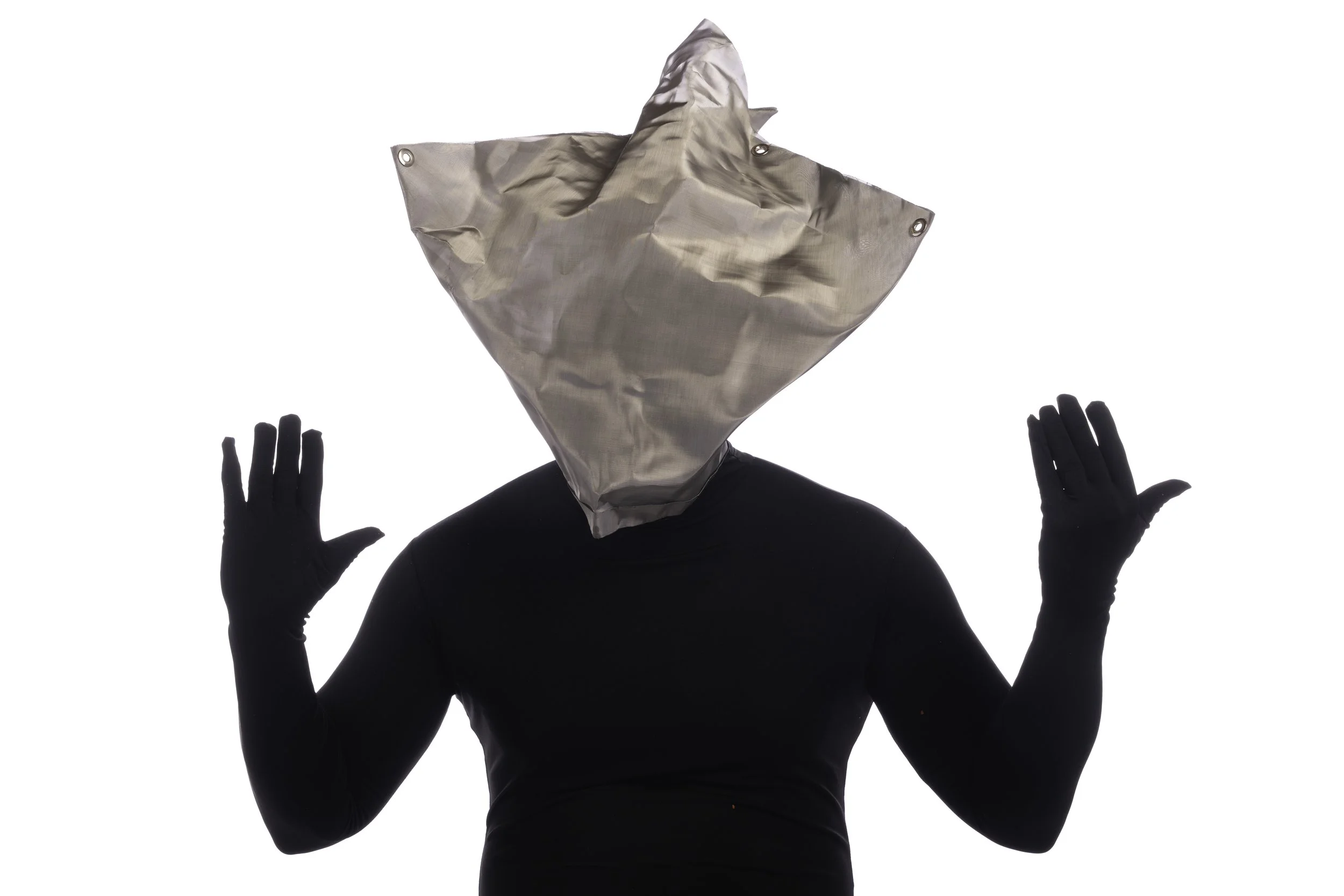 Droungarios