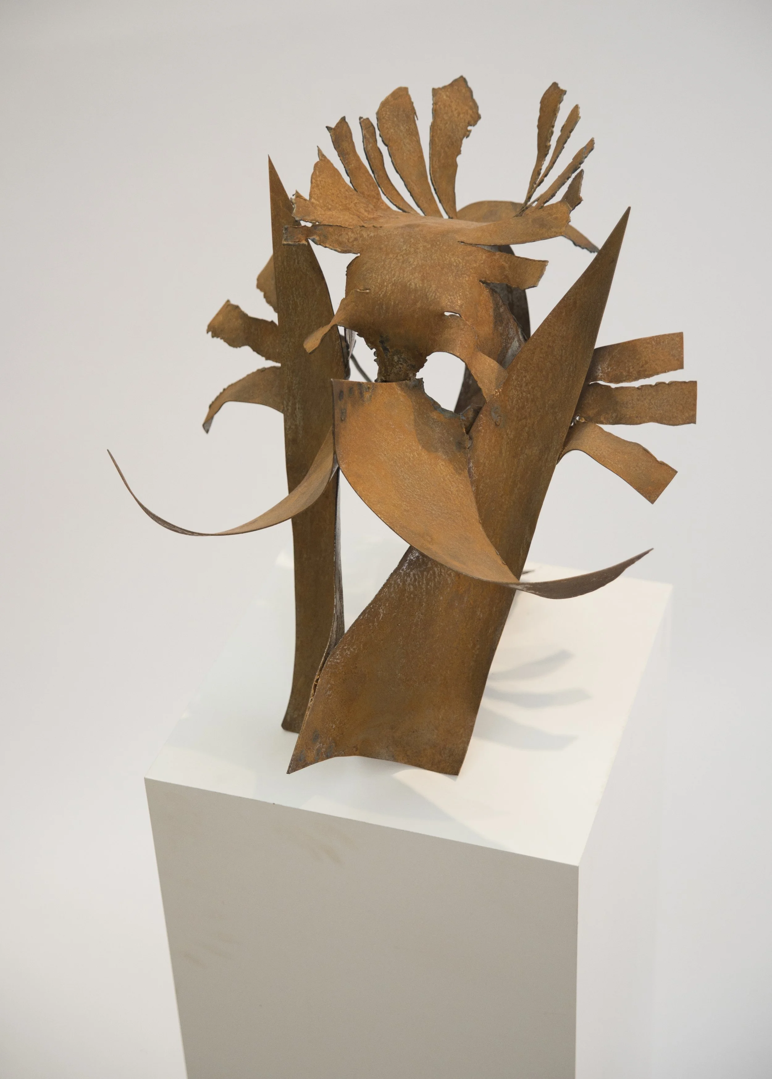 Rusty Hair
16" x 20" x 12"
Steel
2015