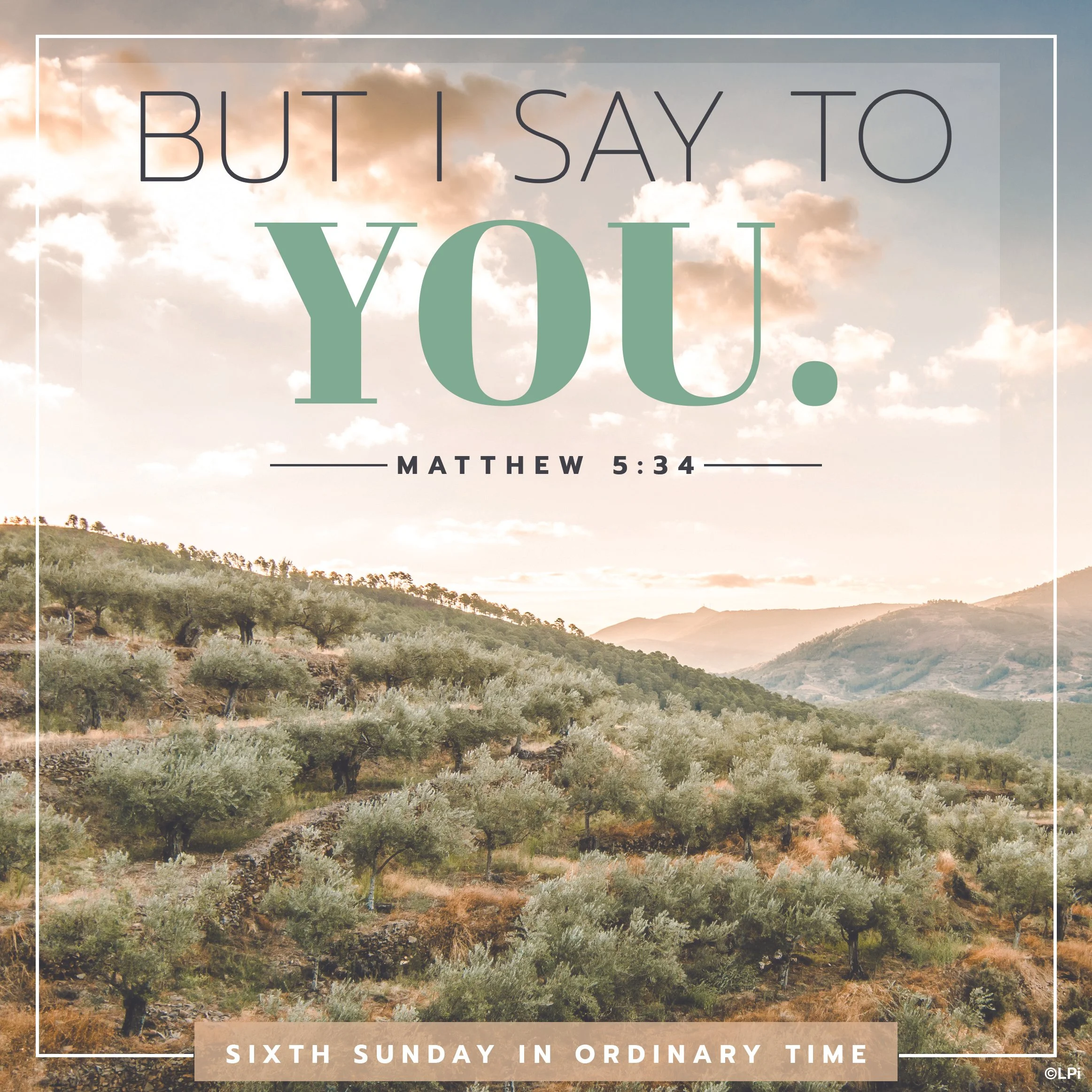 The Sixth Sunday in Ordinary Time (2026)