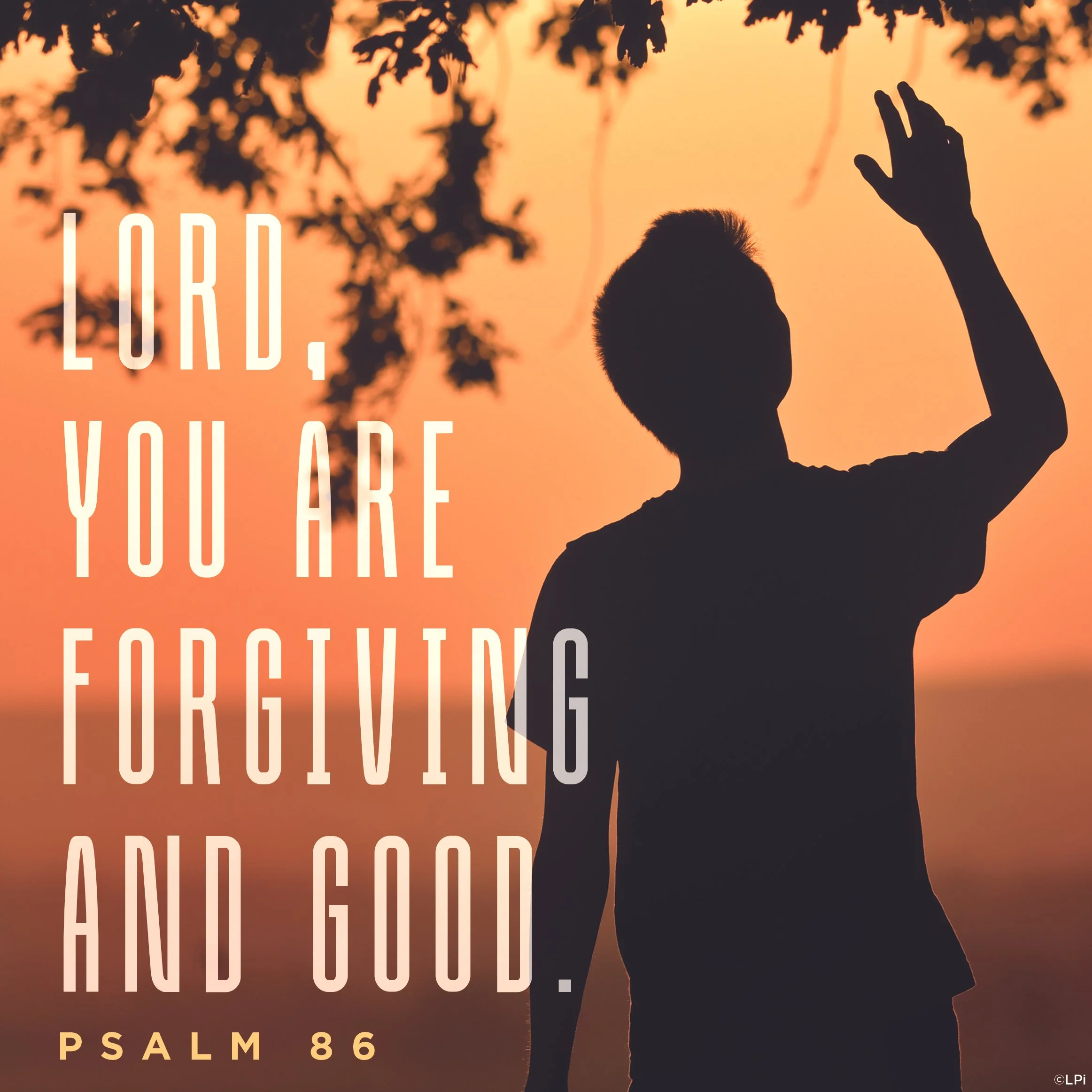 The Sixteenth Sunday in Ordinary Time (2026)