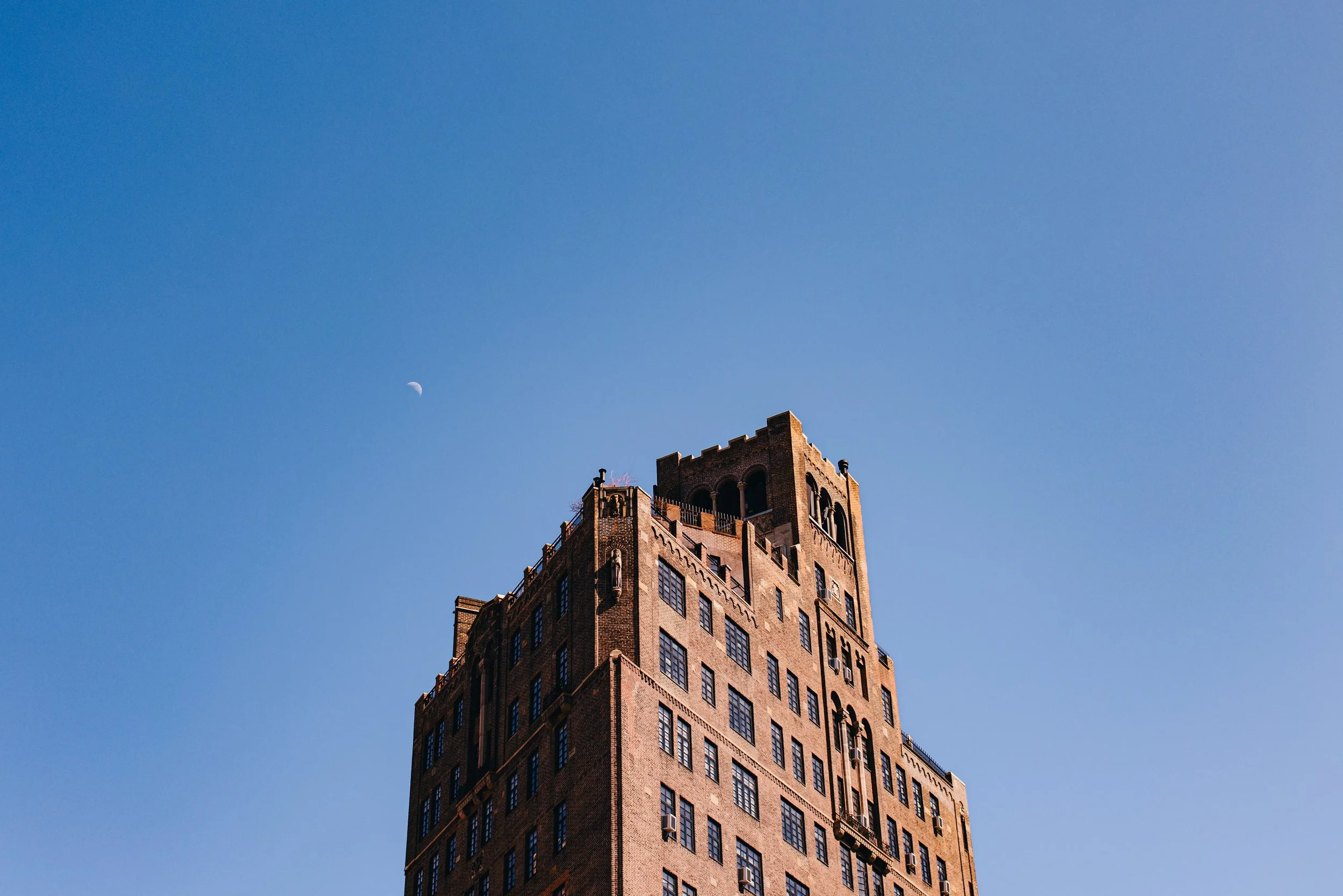 The First Signs of New York Spring