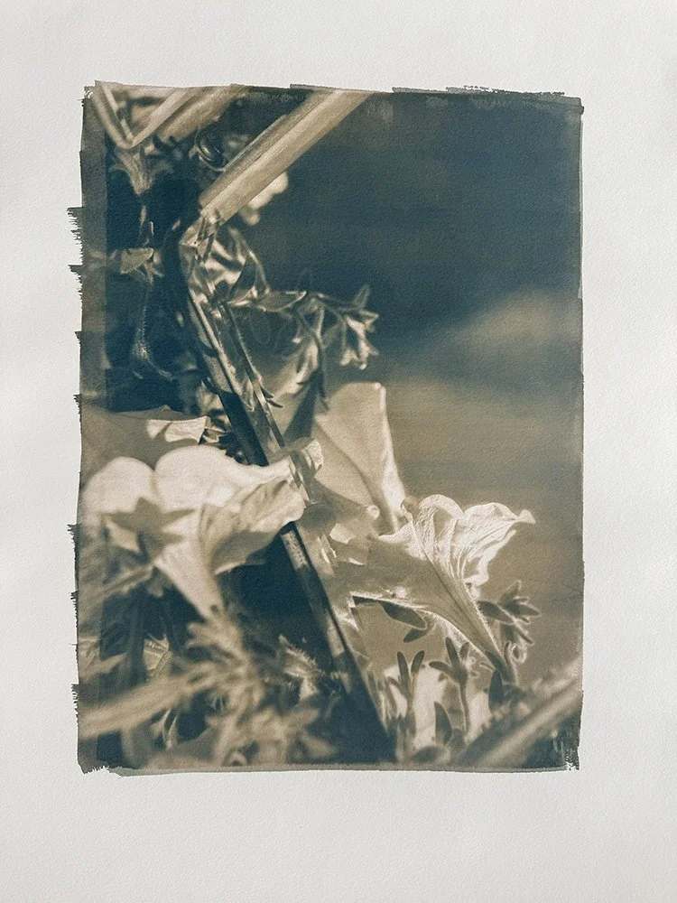 Myers_Reflective Flora_4.jpg