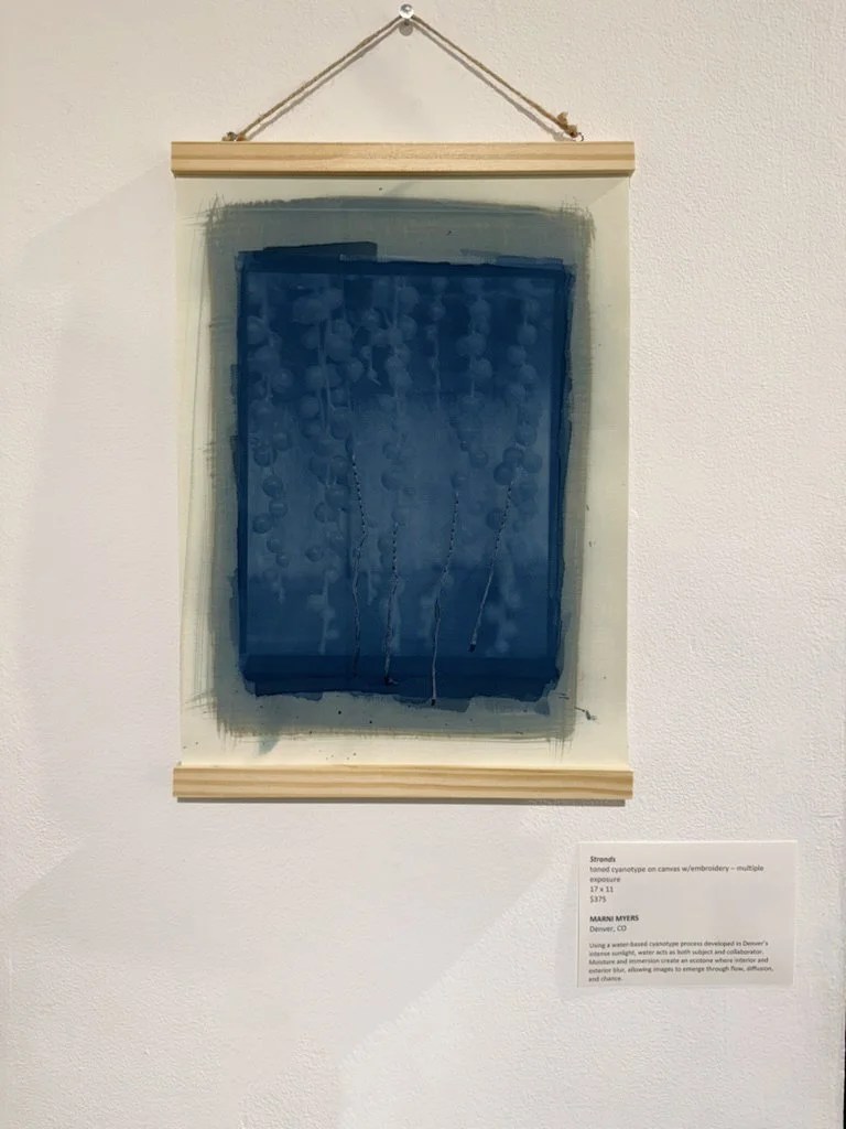 Ecotones, Women's Caucus for Art, May 2026