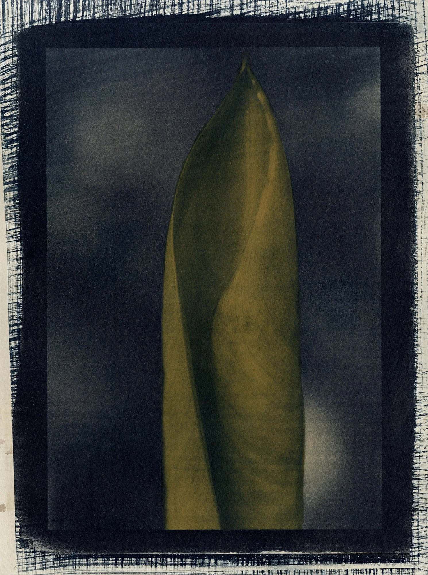Enfold