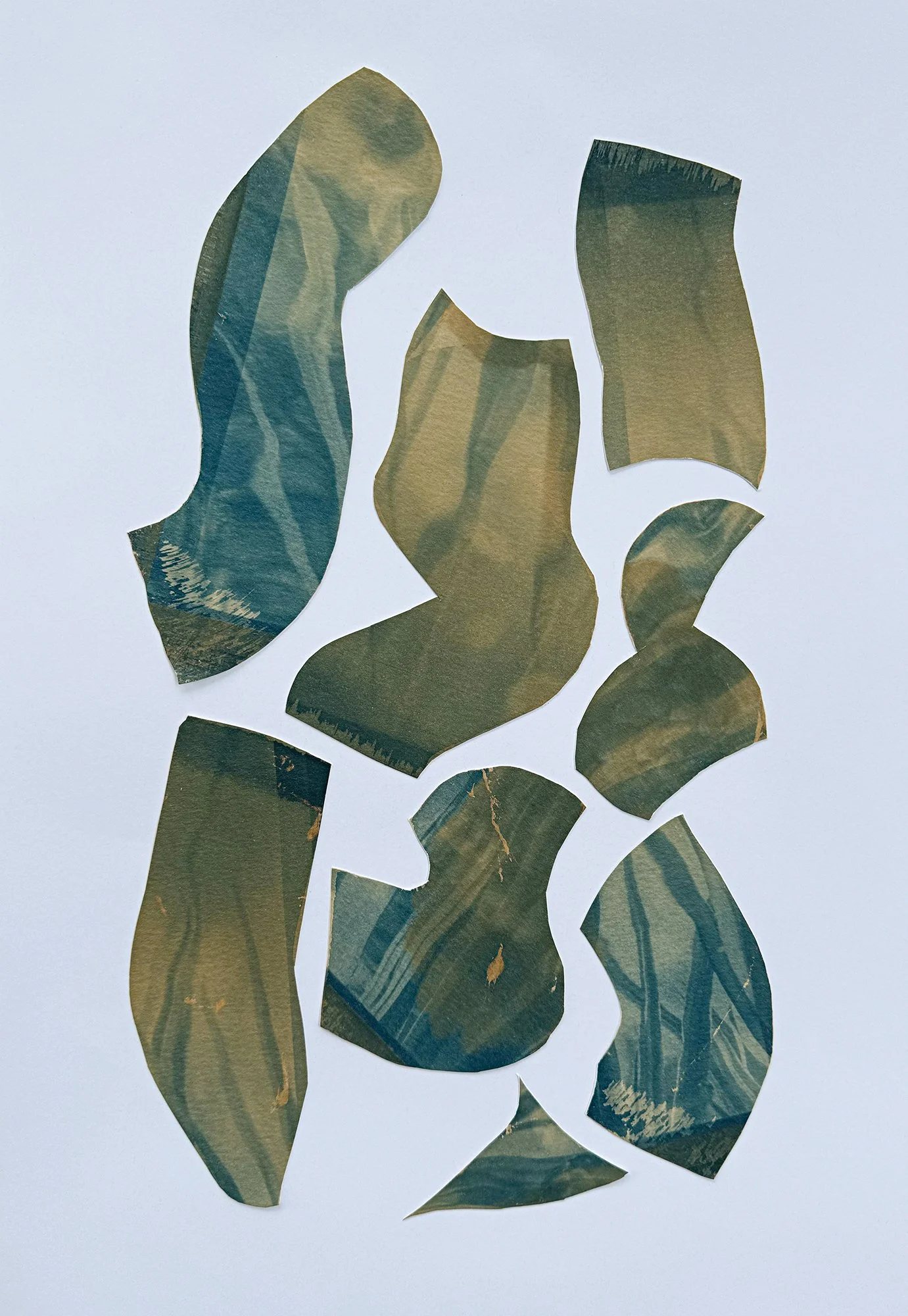 Cyanotype Collage: Juxtapose