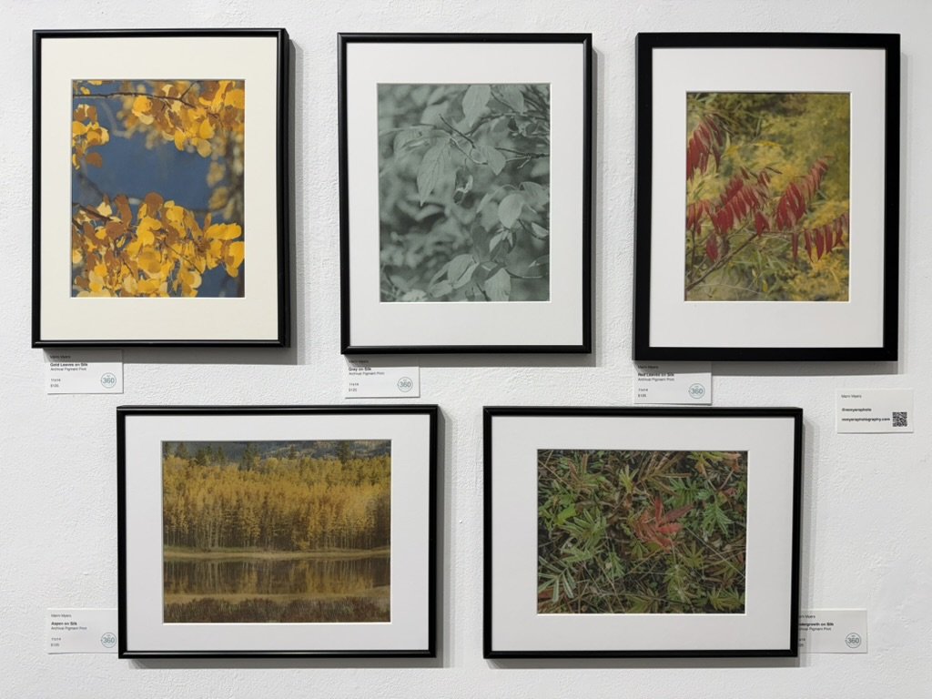 Framed Silk Pigment Prints, D'art Gallery West, April 2026