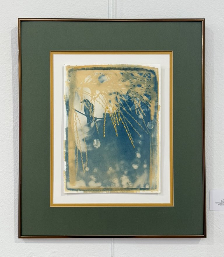 Connect, NKollectiv, January 2026