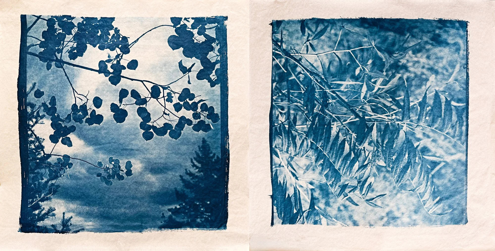 Fall Foliage - Tea Bag Paper
