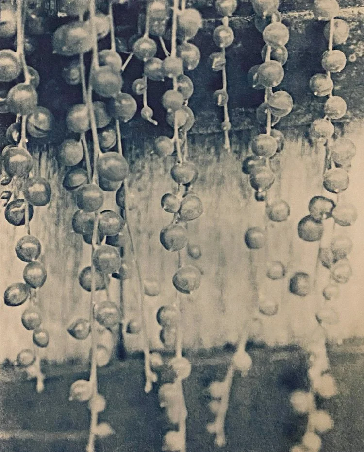 Strands