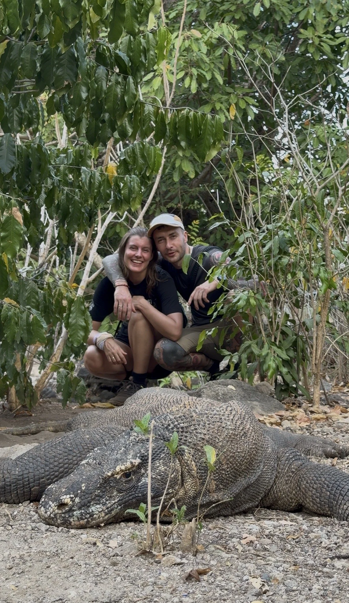 komodo1.jpg