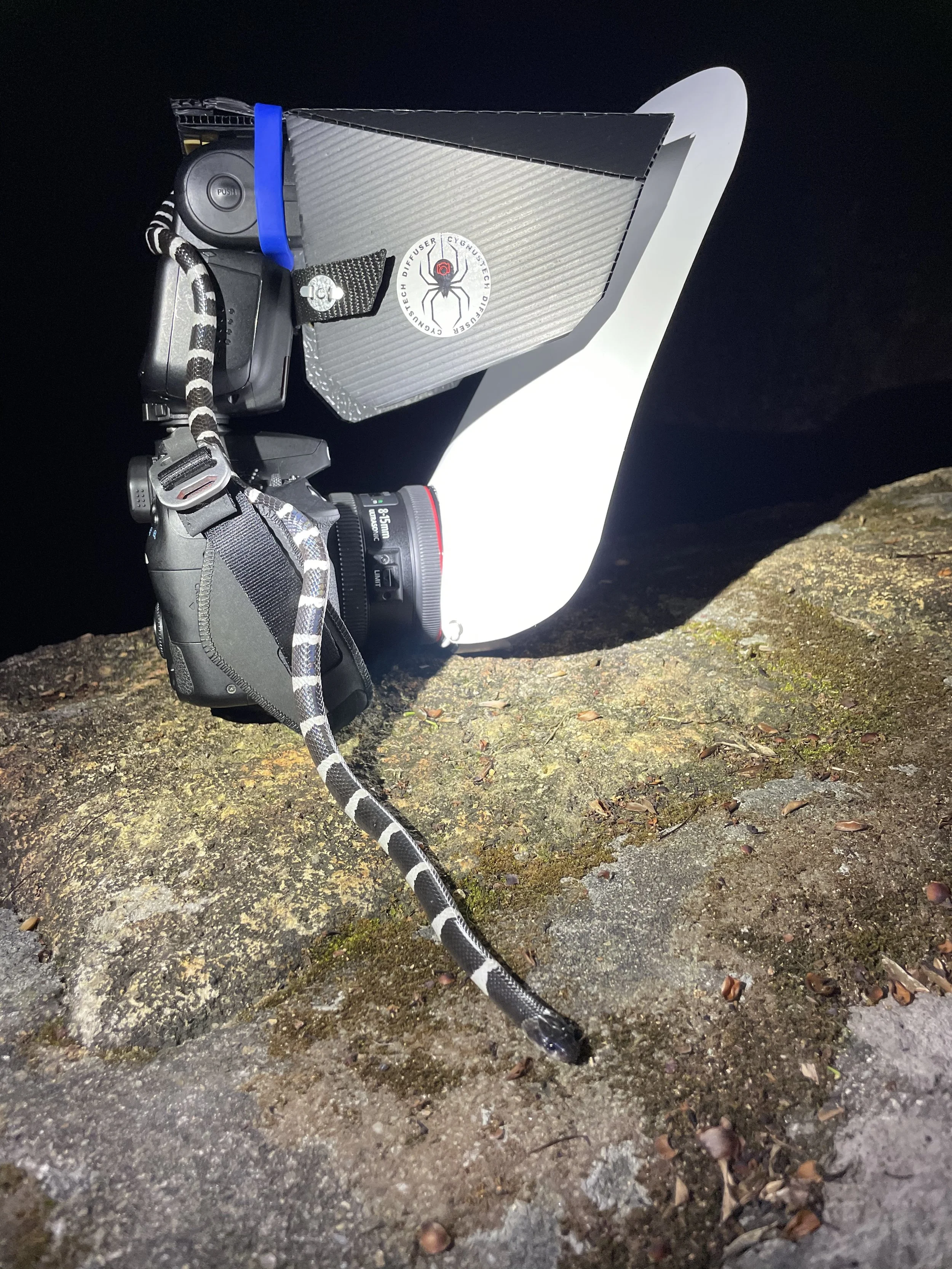 A night photography setup with a camera and a snake.