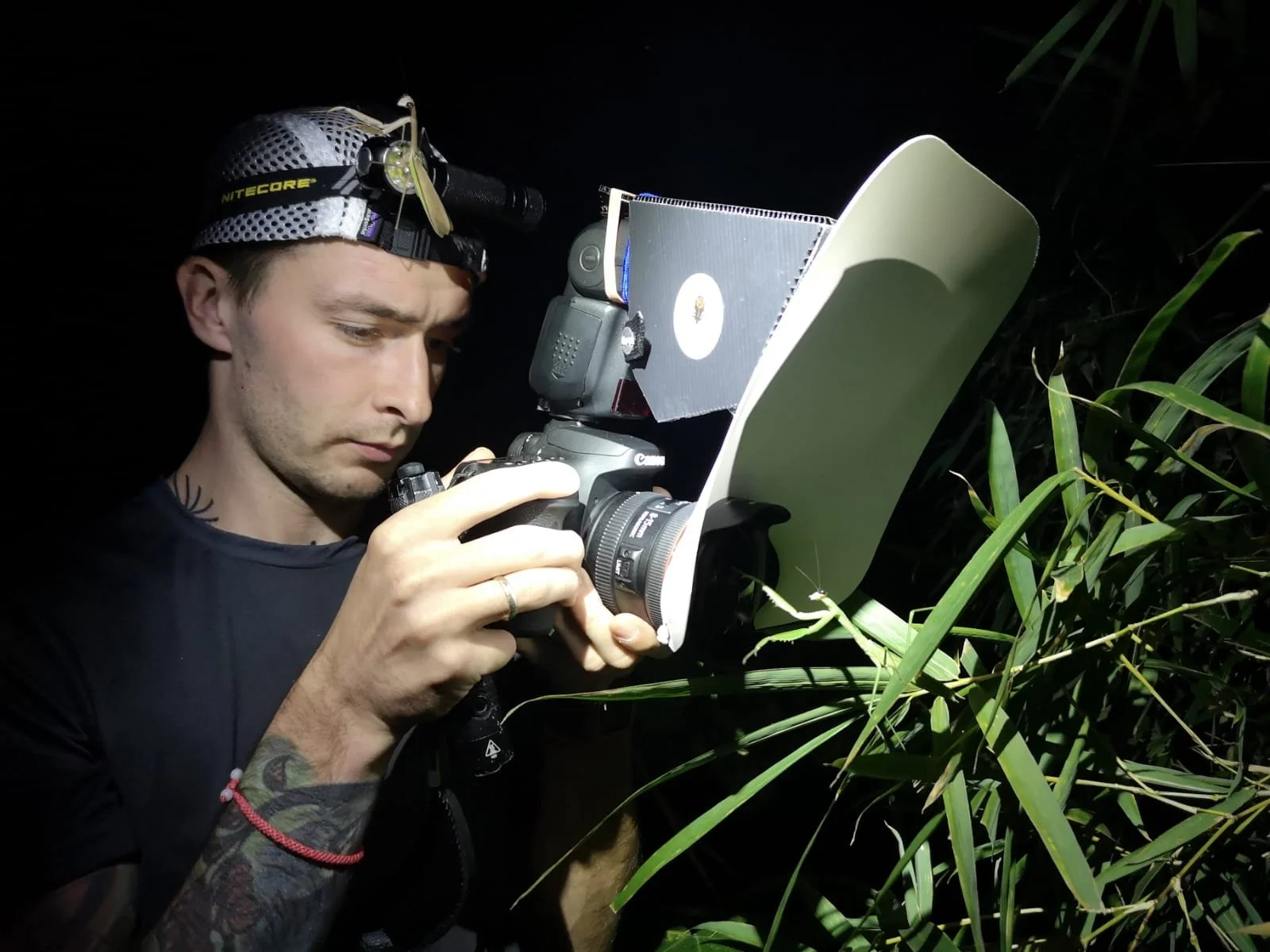 A man is photographing or filming with a camera in a jungle at night, wearing a headlamp and surrounded by dense foliage.