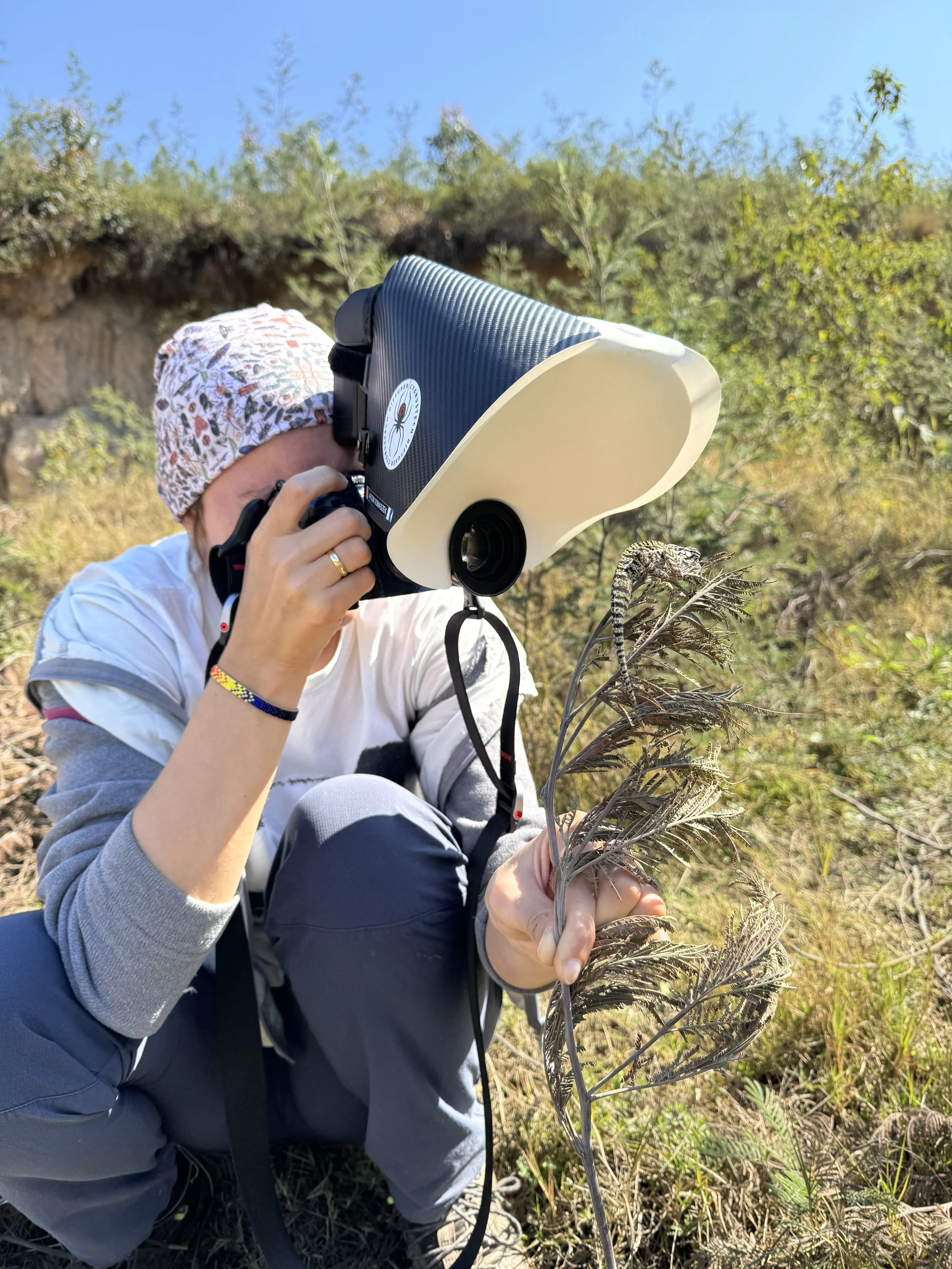 Taking macro photos.