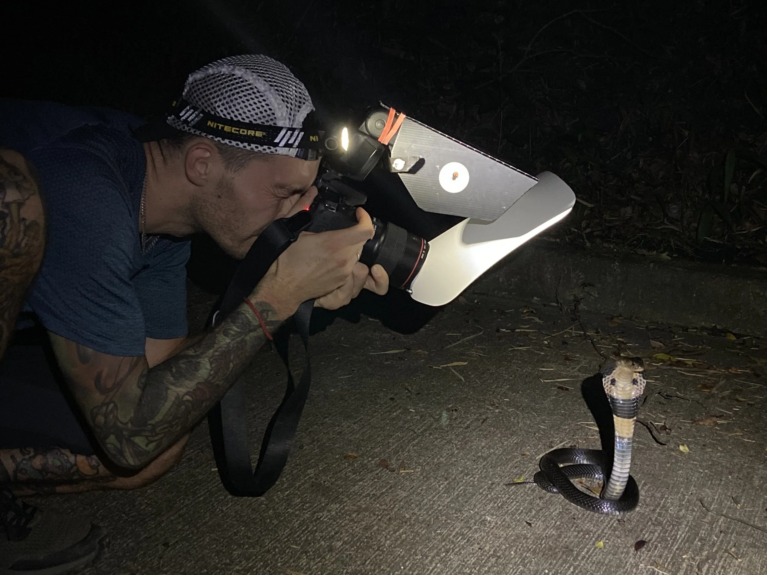 A person lying on the ground taking a close-up photo of a snake with a DSLR camera at night, using a headlamp for illumination.