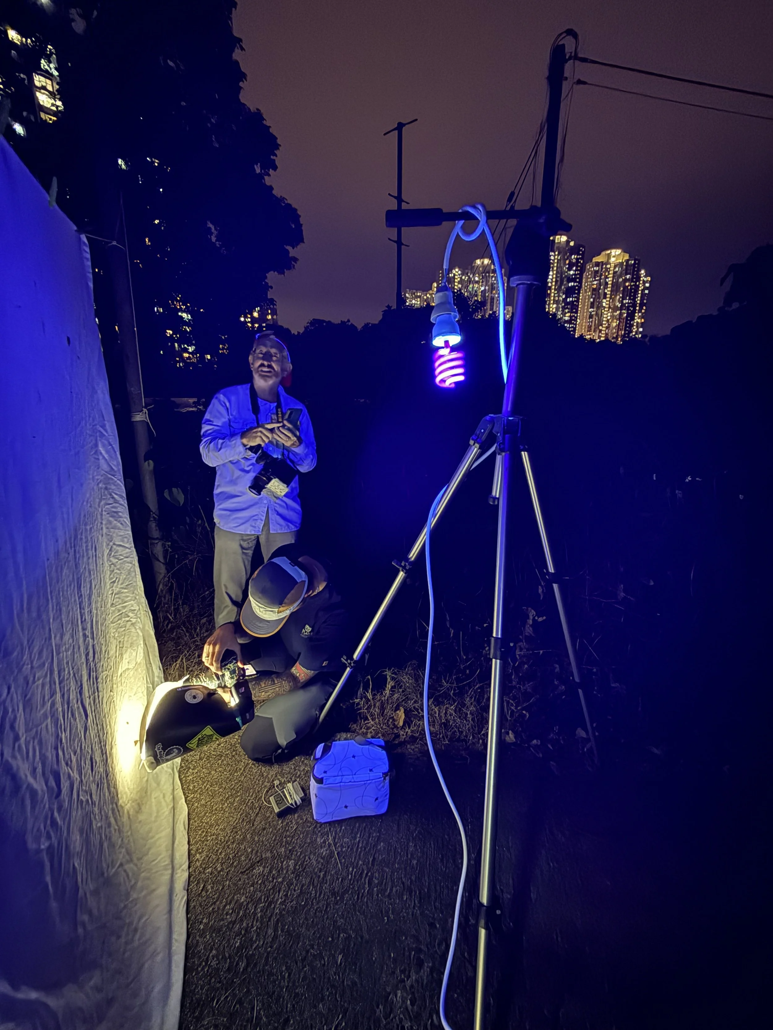 In front of the moth screen with LepiLED light, moth survey in Hong Kong.