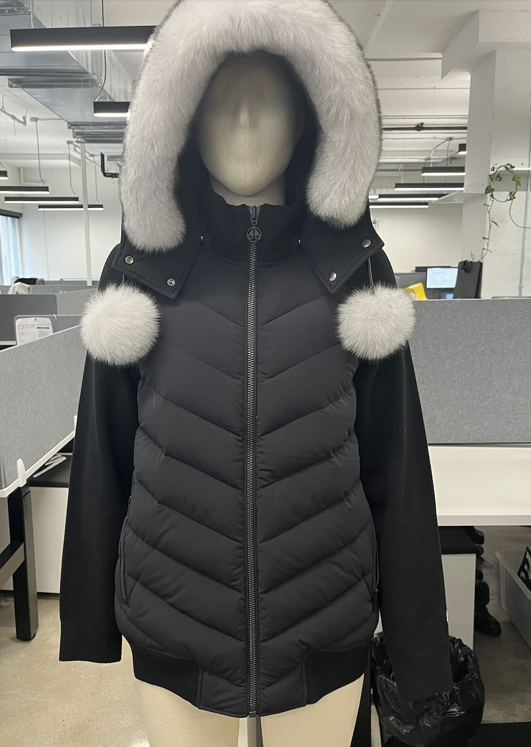 Screenshot 2024-04-09 at 11.59.29 AM.png