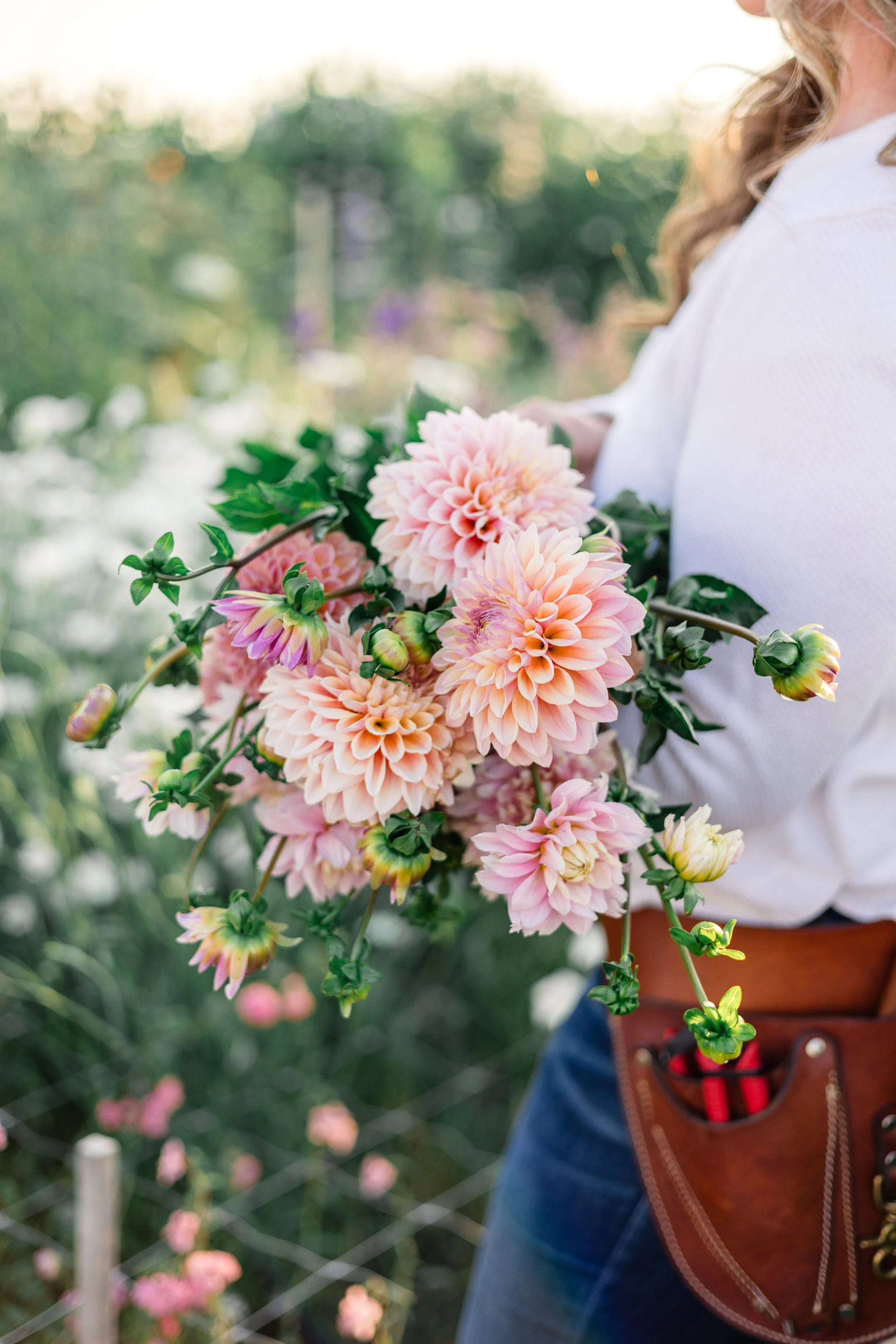 Brittany_PrairieRidgeFlowers-51.jpg