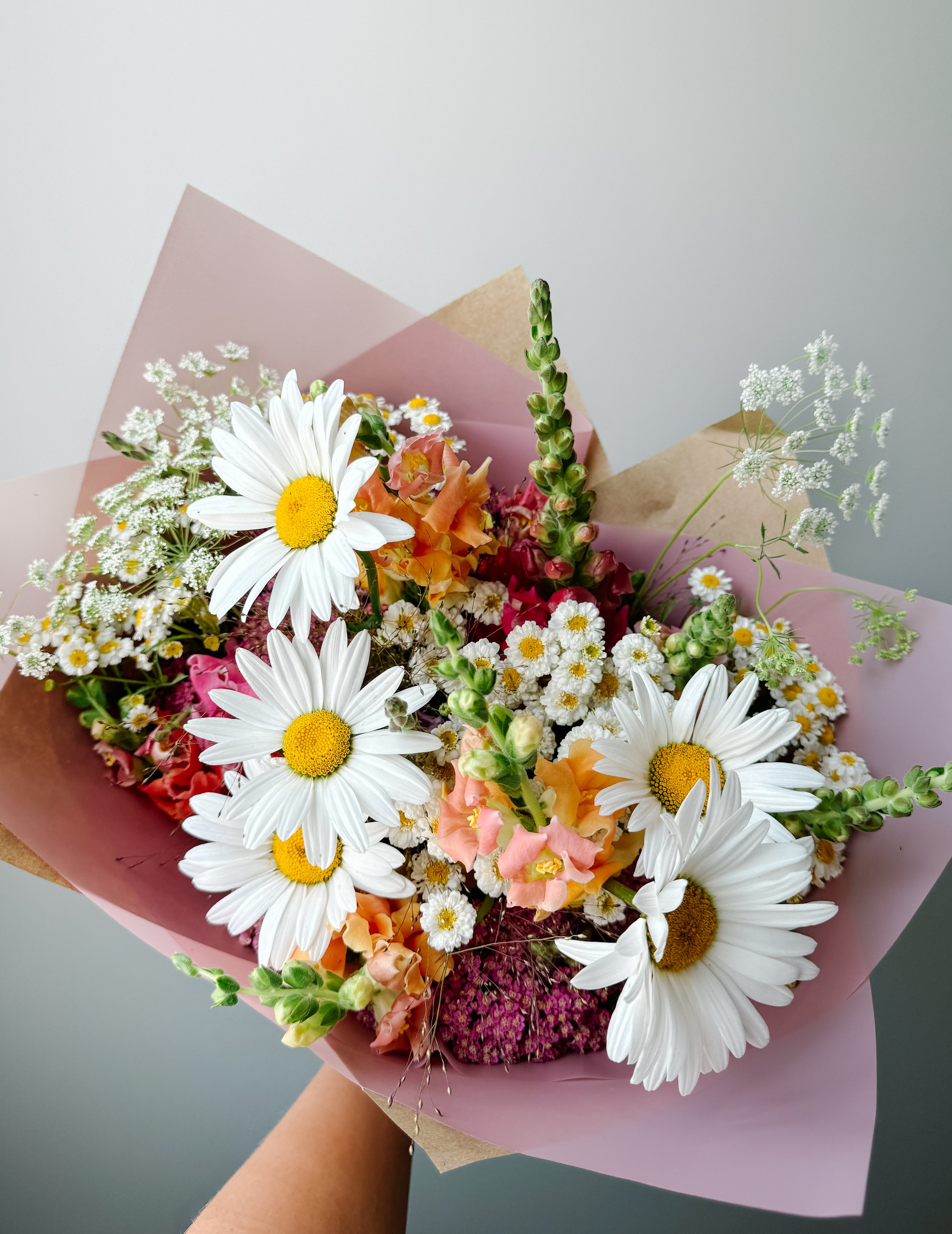 Spring/Summer PLUS Subscription