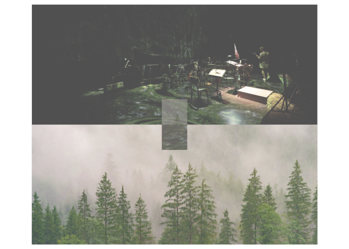 Collage combining a dark stage with green projection and a misty pine forest, representing Artpark’s blend of performance and landscape.