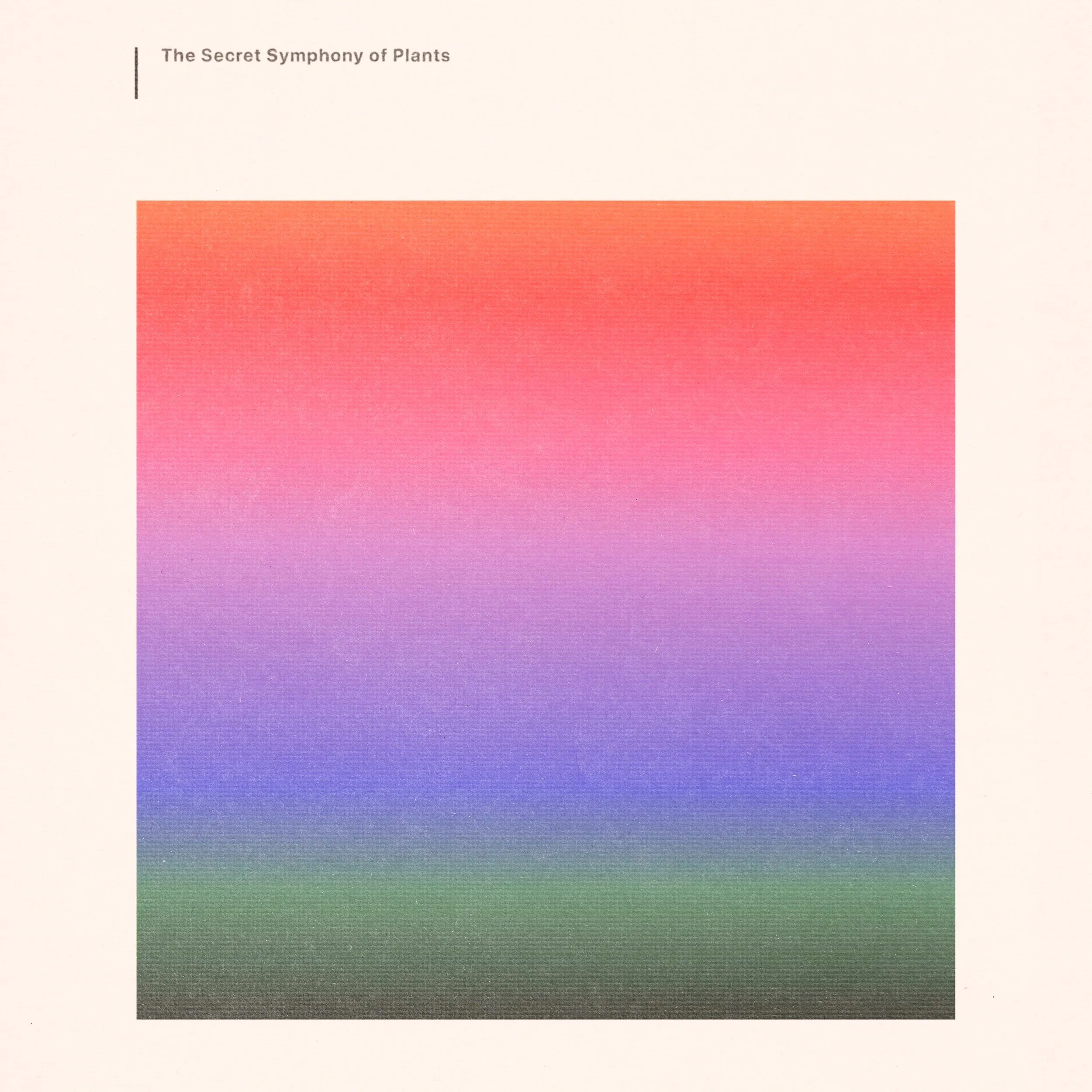 Book cover titled "The Secret Symphony of Plants" with a gradient square fading from red to purple to green.