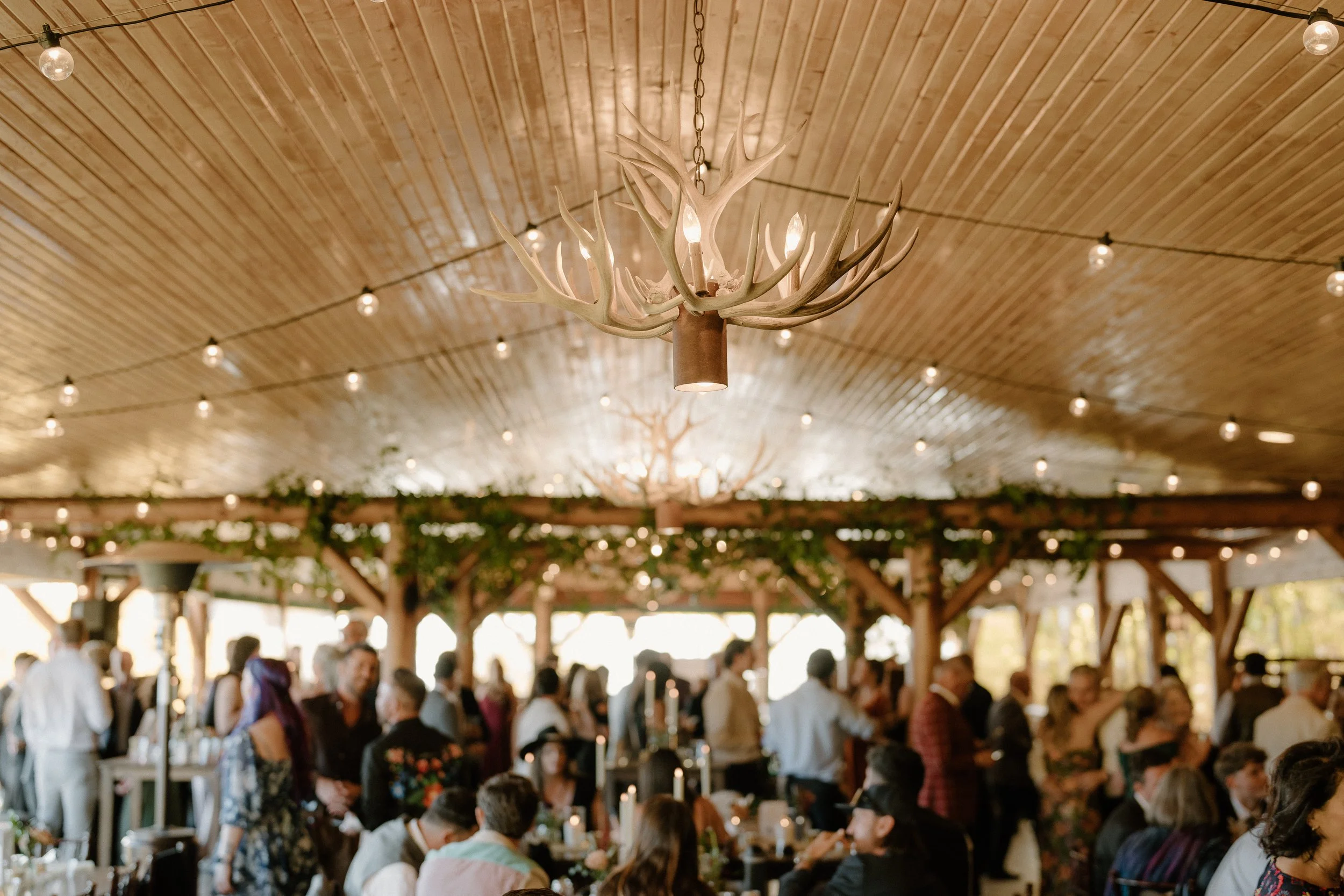 Chandelier made of antlers hanging from a wooden ceiling decorated with string lights, in a lively indoor setting with many people.