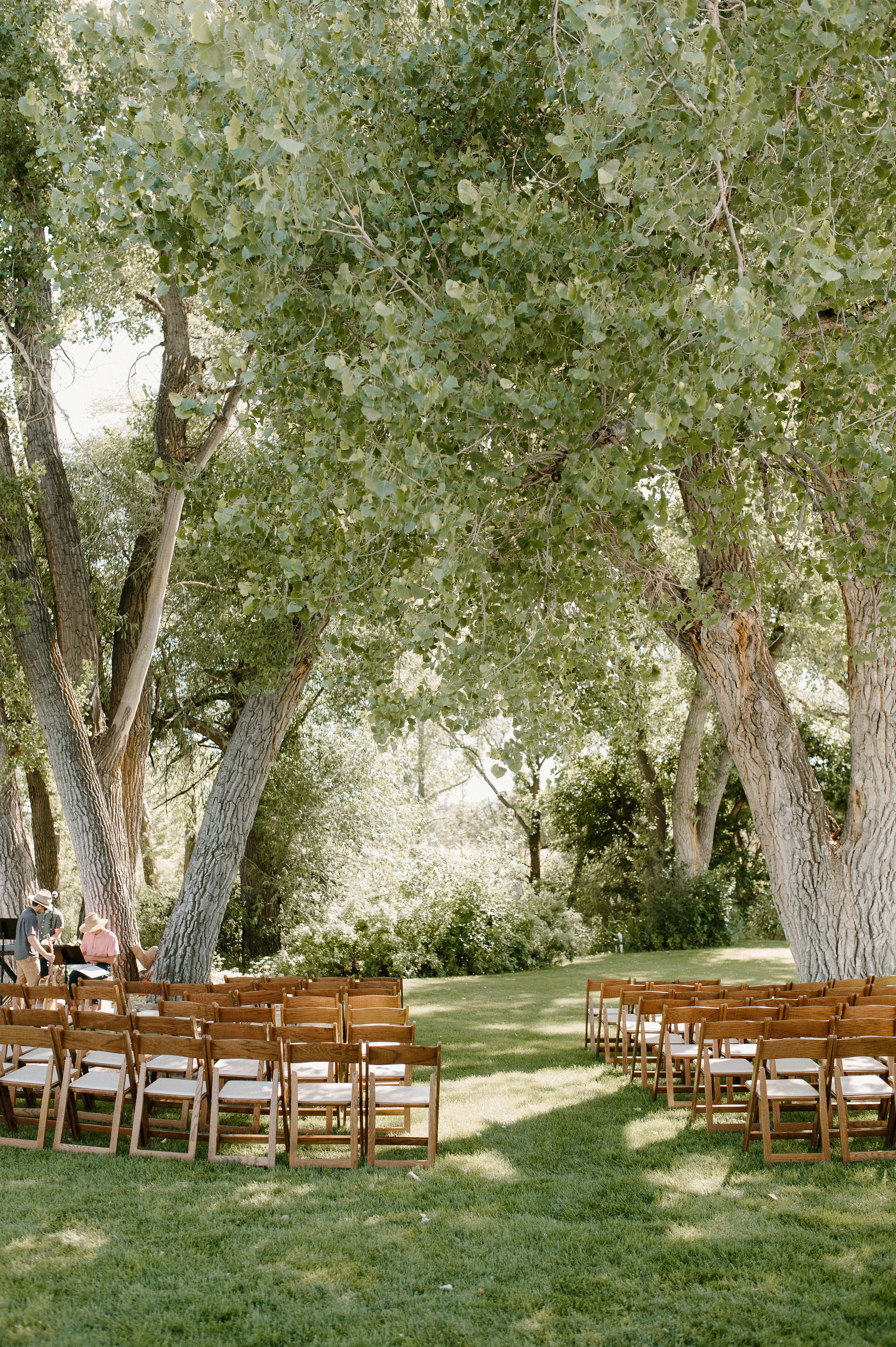 rows of chairs set up for a wedding ceremony underneath shady trees at Boulder Flower Farm