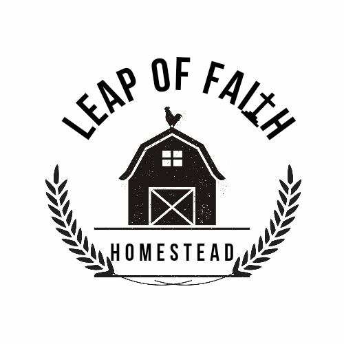 Leap of Faith Homestead