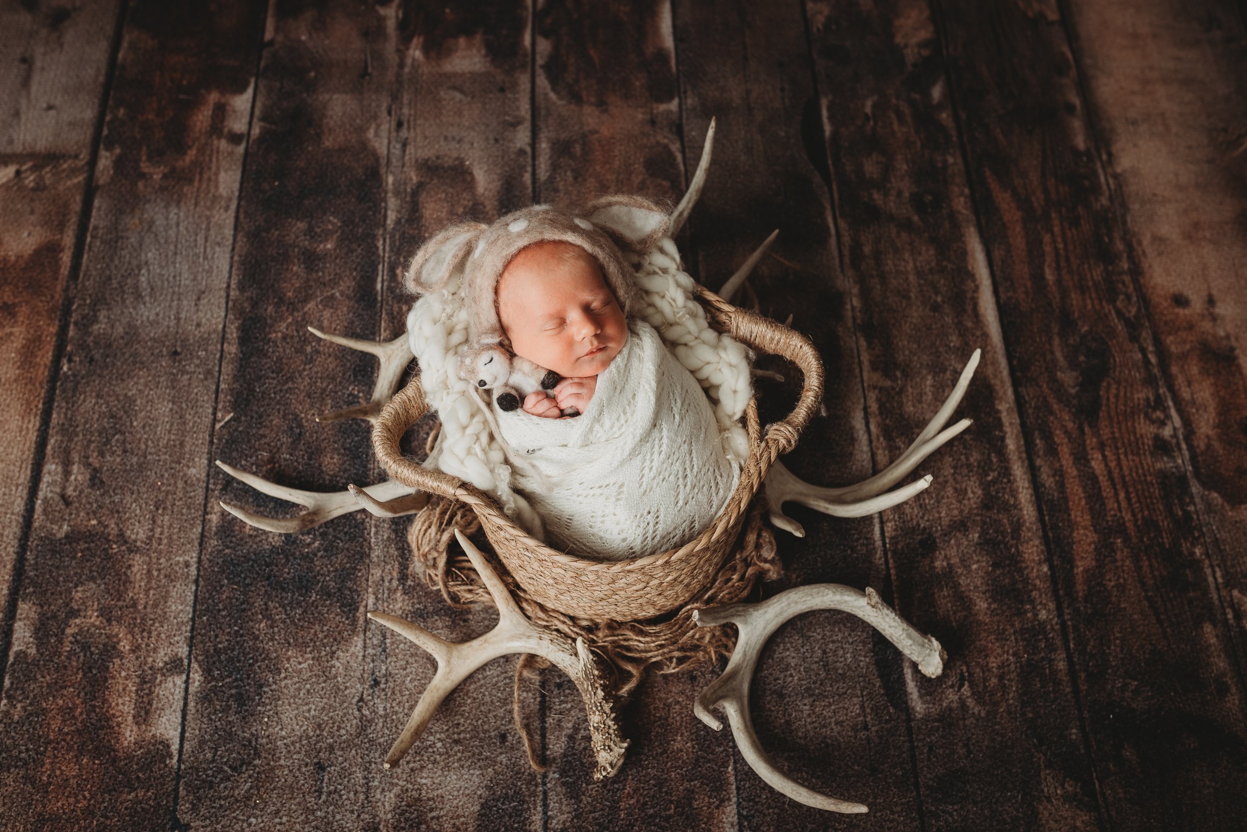 Pekin IL Newborn Photographer