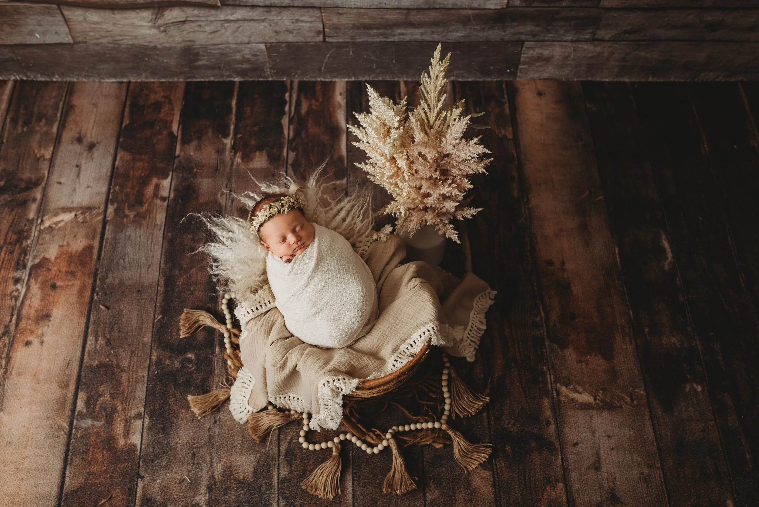 Pekin IL Newborn Photographer