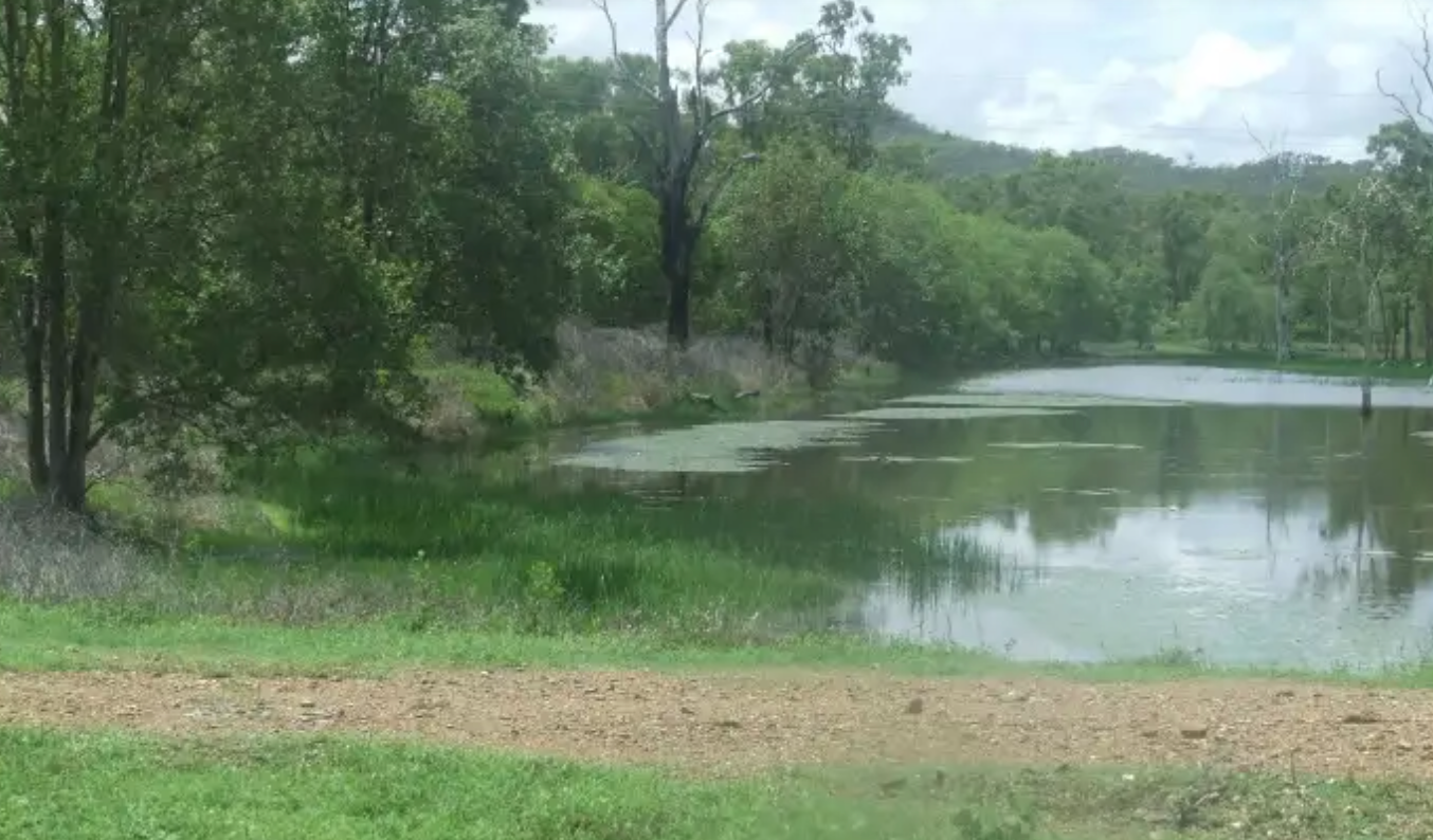 Hymenachne Program | Progress Report